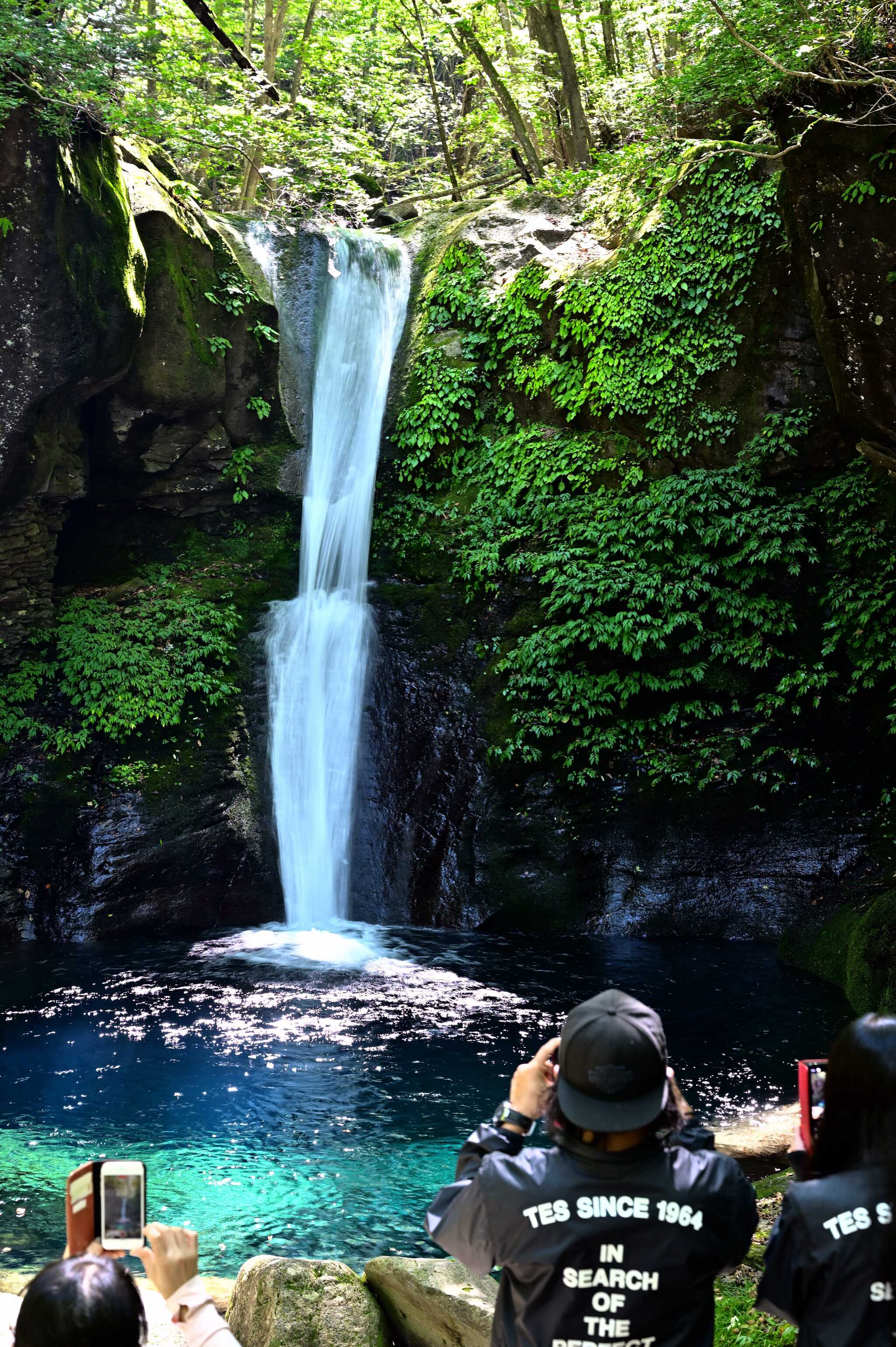 山の駅たかはら「Star Light Camp Base」の写真 2枚目
