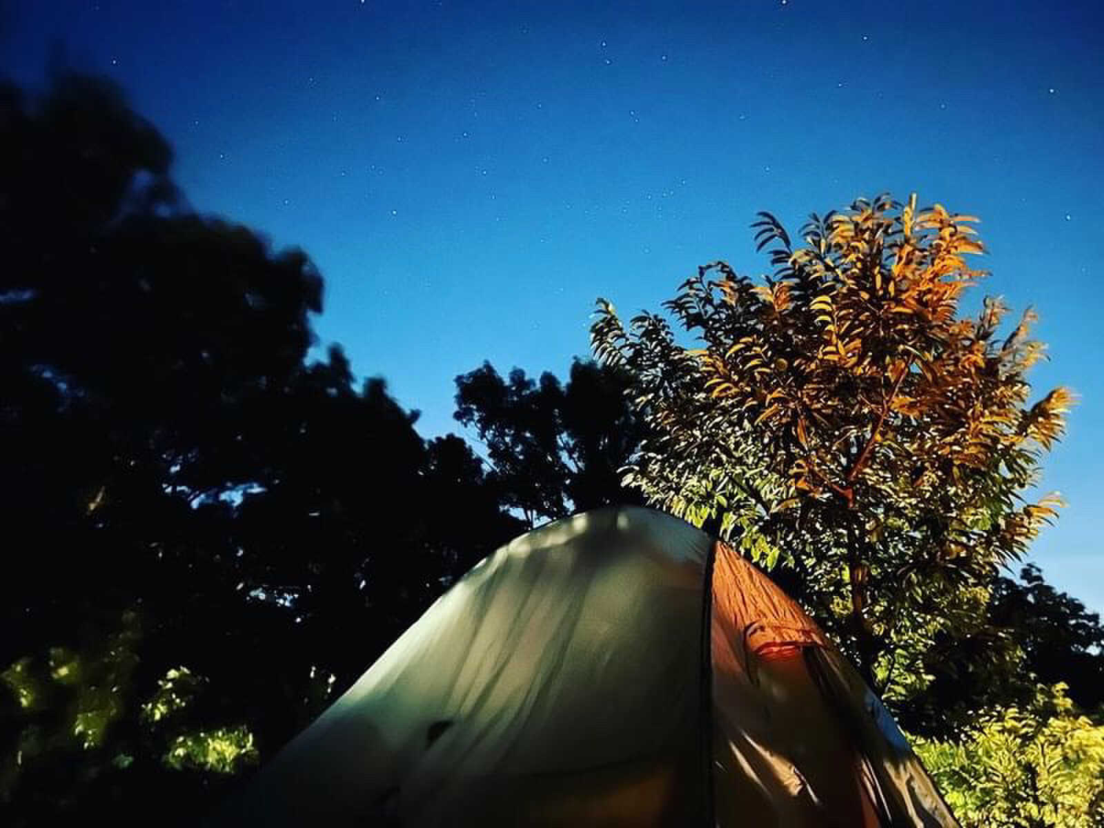 夜は星がきれいに見えます