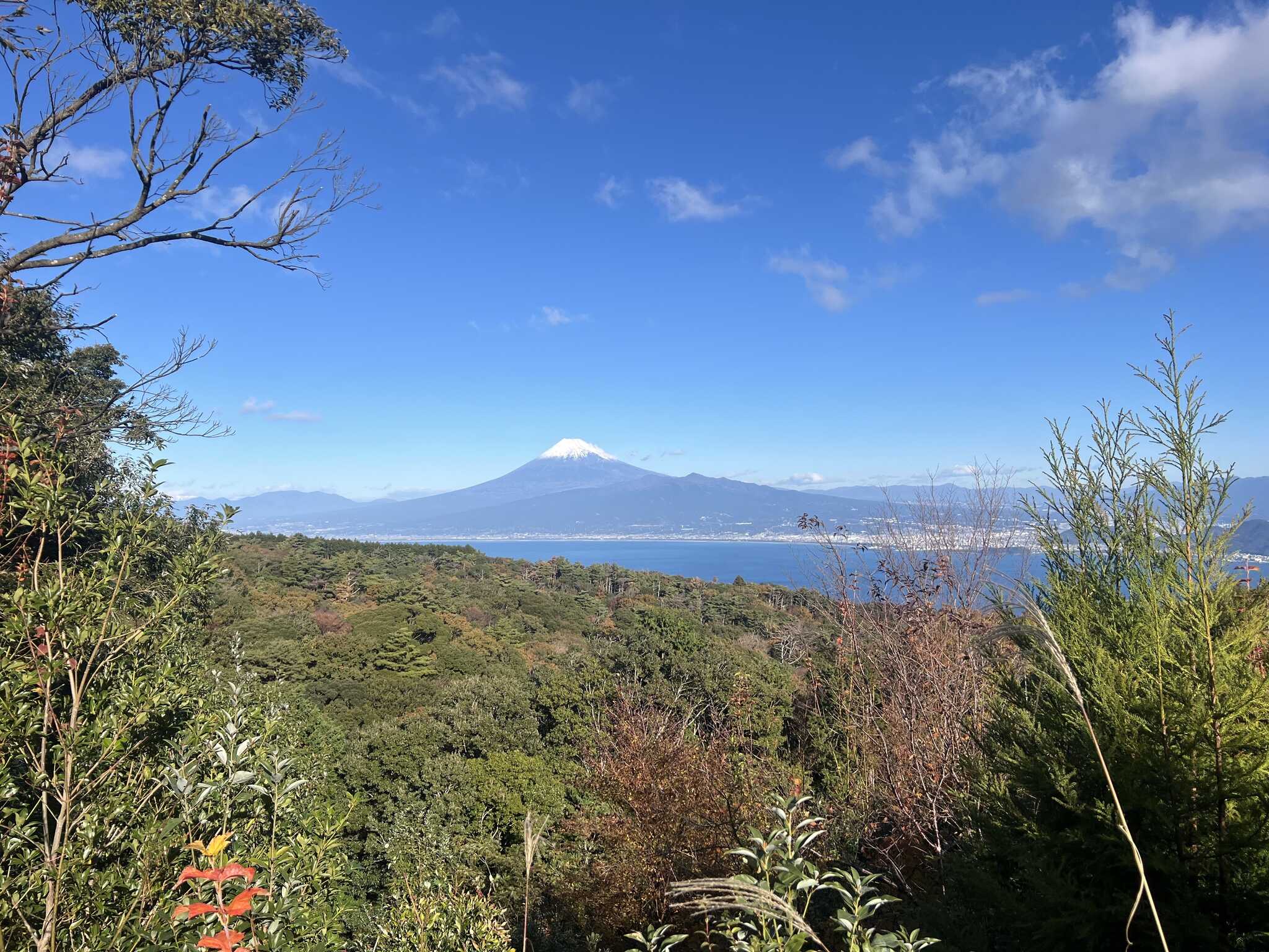 A-1サイト 駿河湾の向こうに雄大にそびえる富士山を一望しながらプライベートキャンプをお楽しみいただけます。MOGURAは北斜面に位置しており、やや涼しくお過ごしいただける環境となっております。