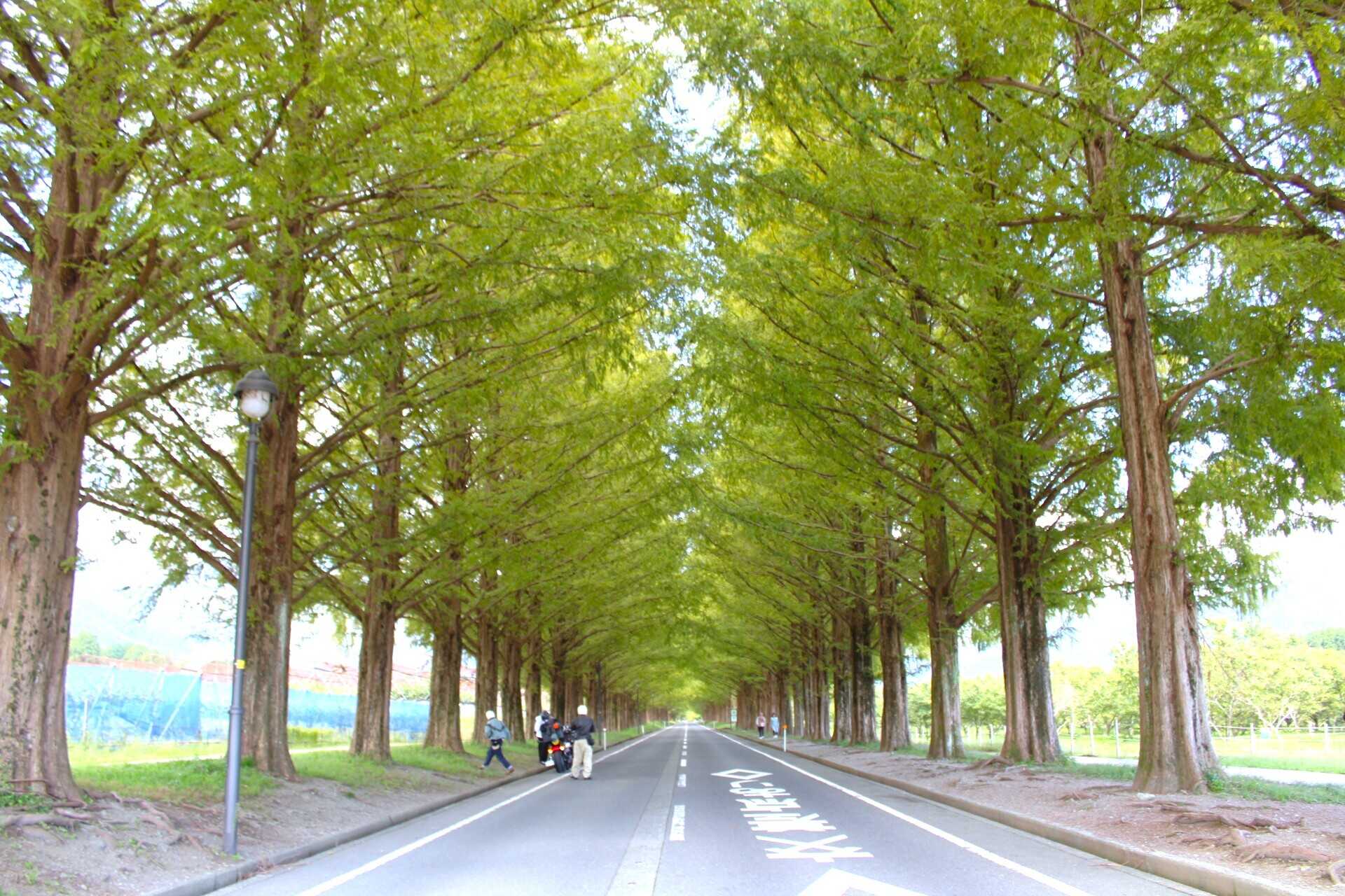 琵琶湖里山オートキャンプ場