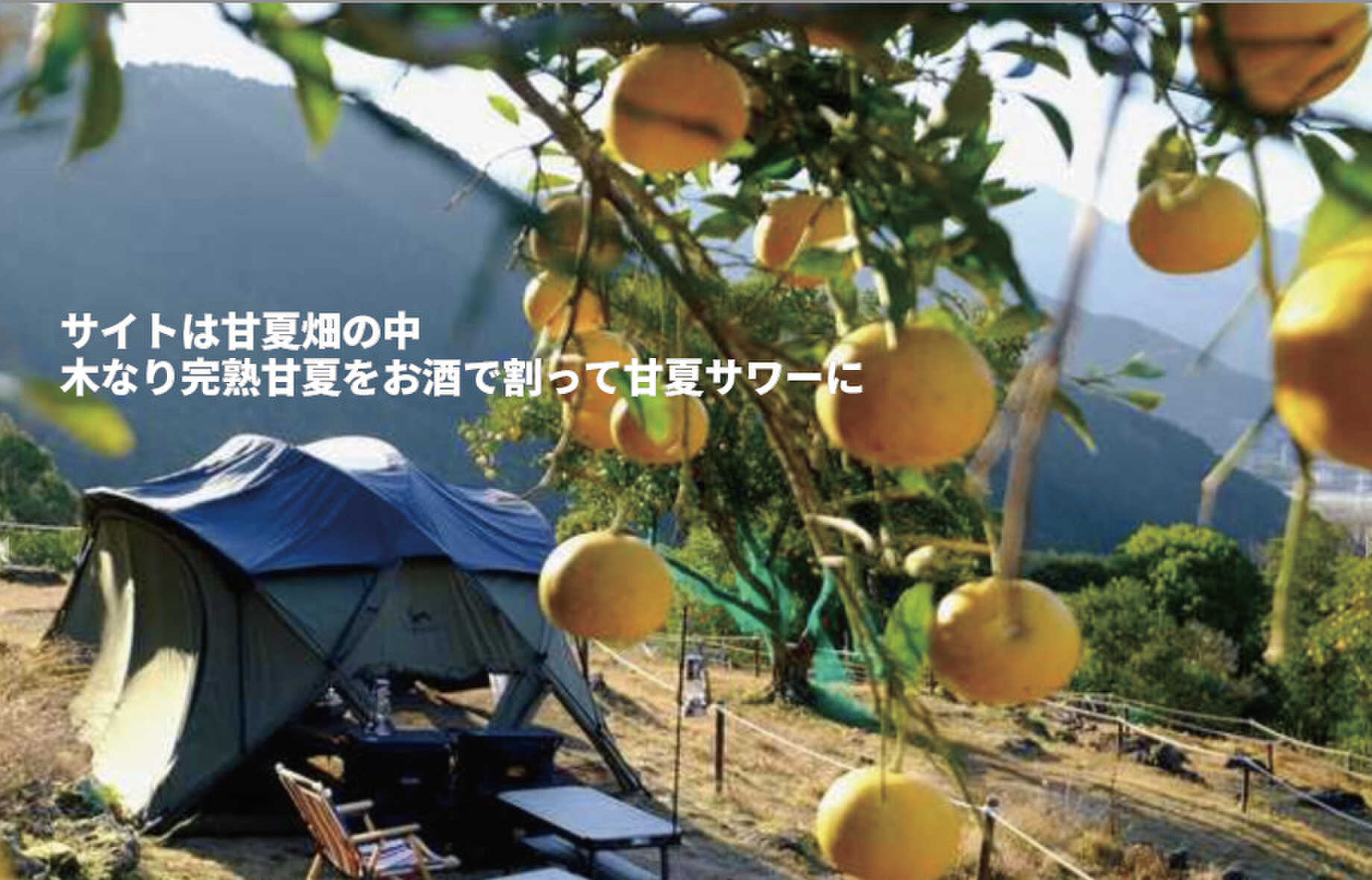おわせむかい農園キャンプ場ミノレの写真 2枚目