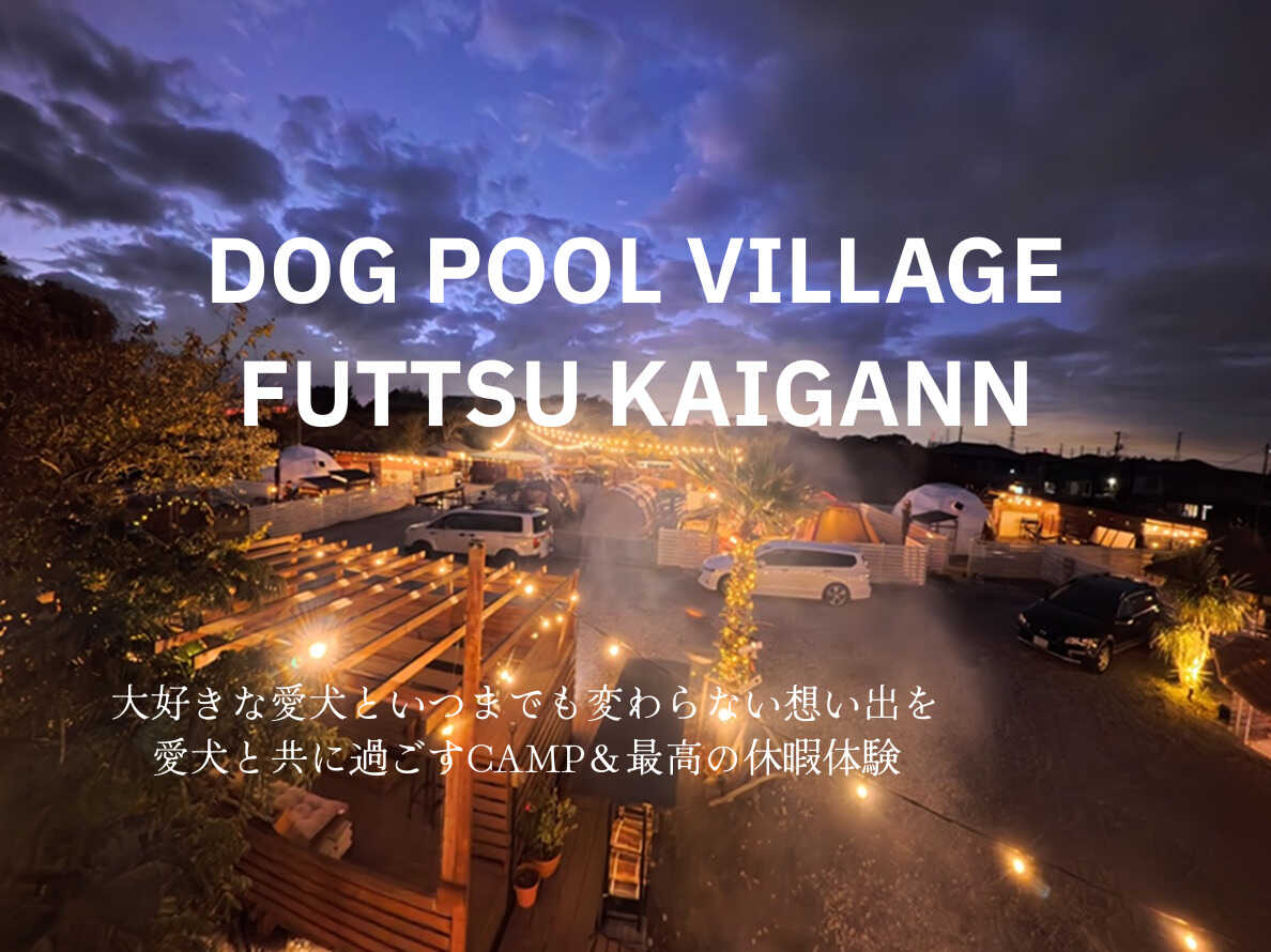 Dog Pool Village 富津海岸の写真 1枚目