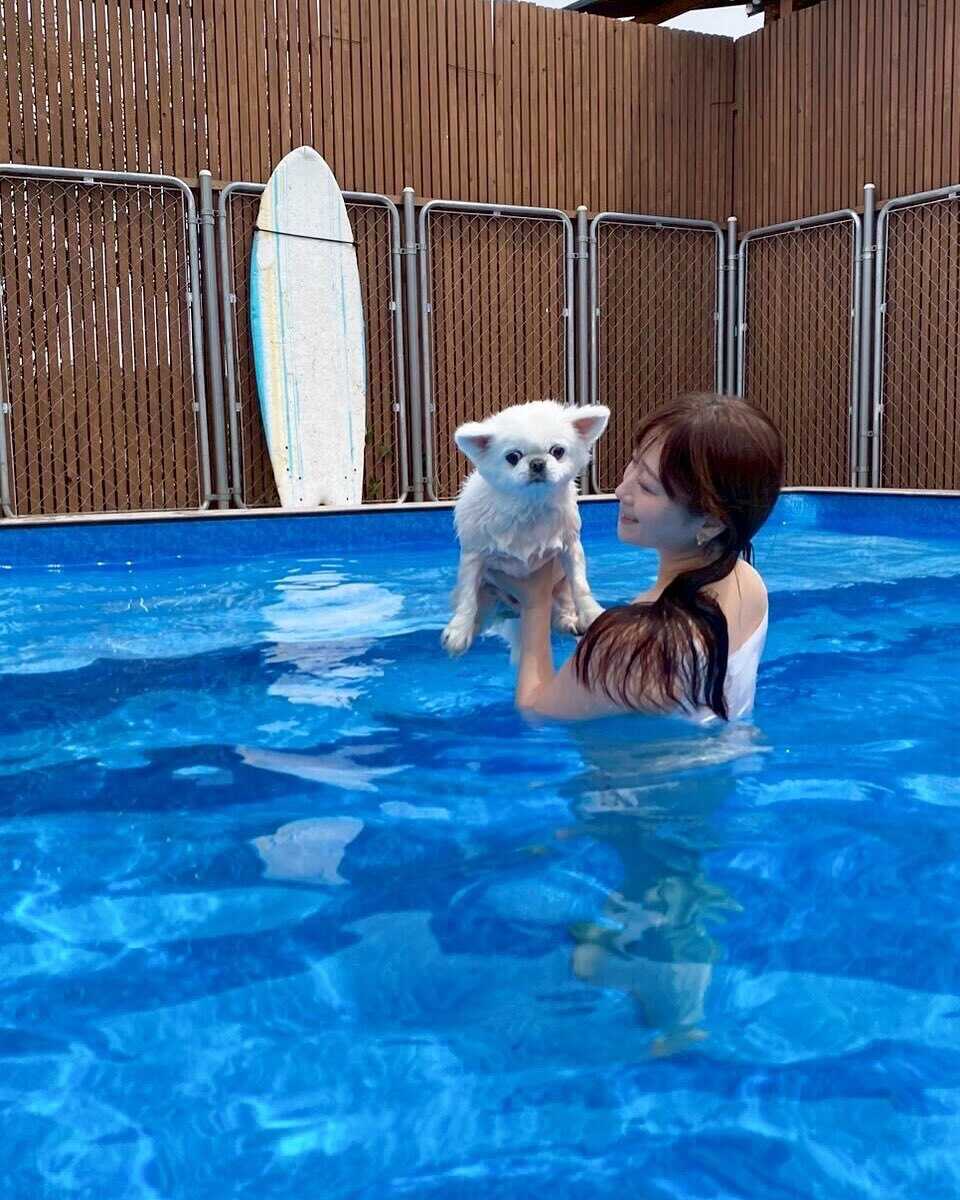 Dog Pool Village 富津海岸の写真 4枚目