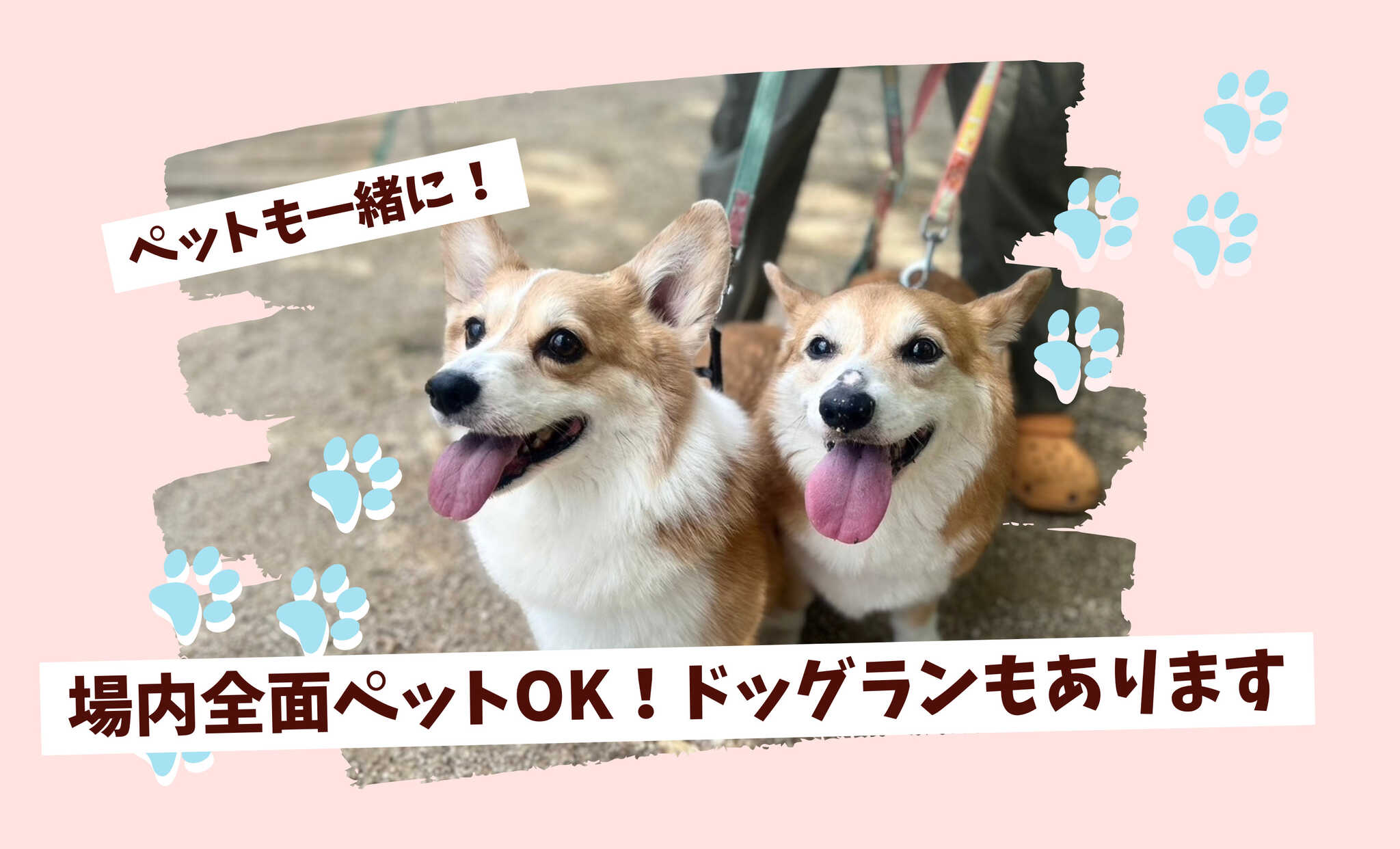 AYABE PEACE Park&Campの写真 4枚目