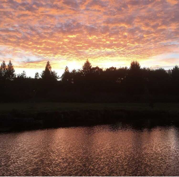 まさに絶景。様々な景色が見れます。