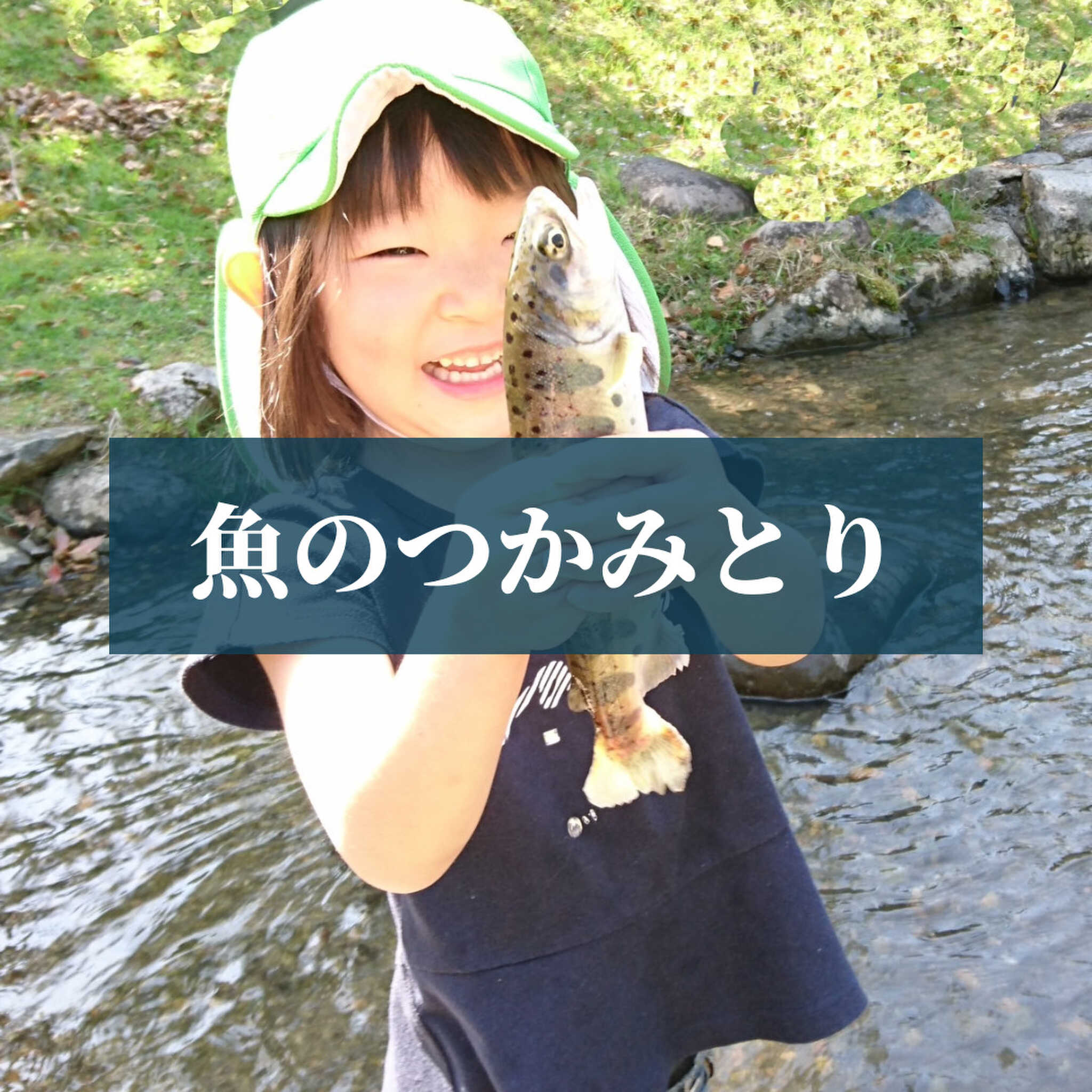 あゆ公園の写真 3枚目