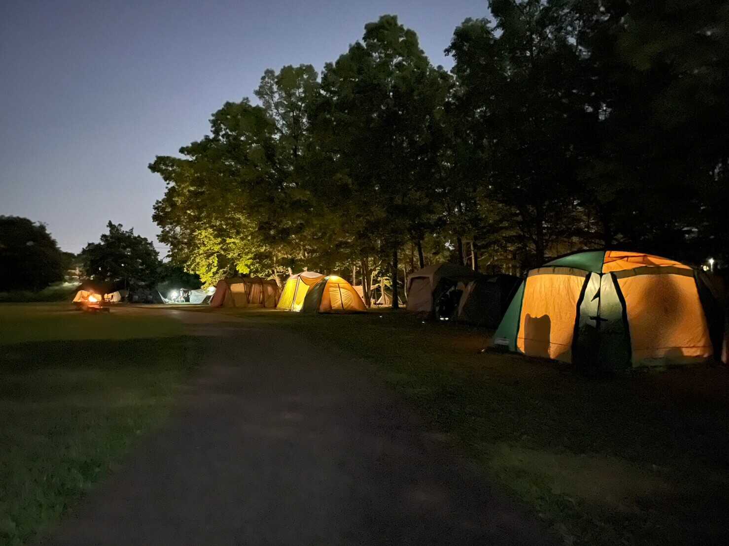 びん沼自然公園お手軽キャンプQ太郎