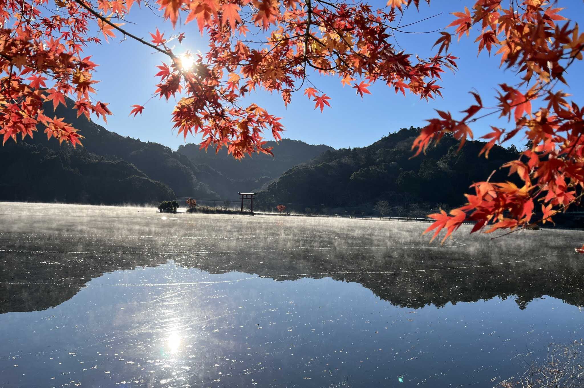 12月初旬の湖畔公園からの撮影です。
