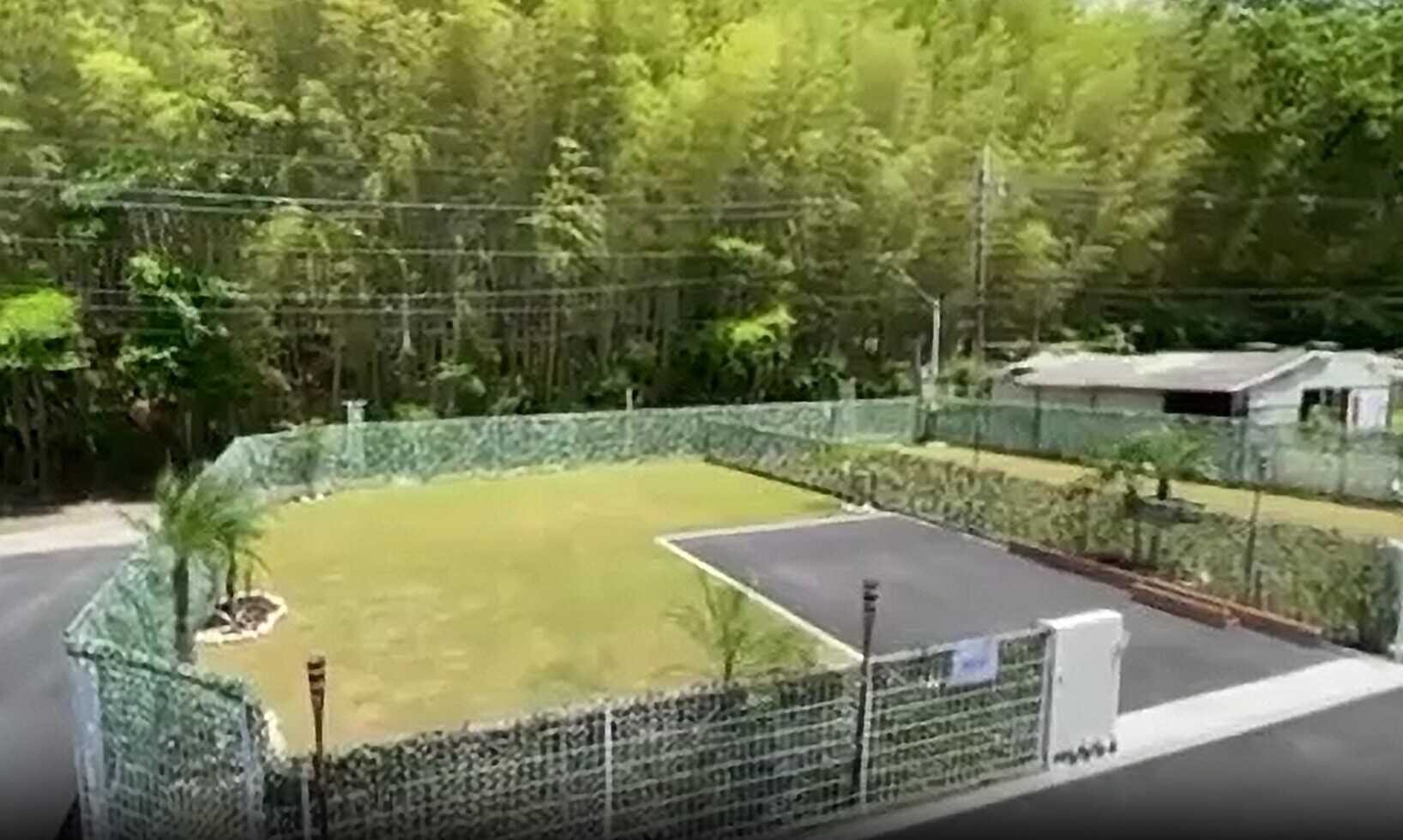 周囲を囲ったドッグラン仕様!