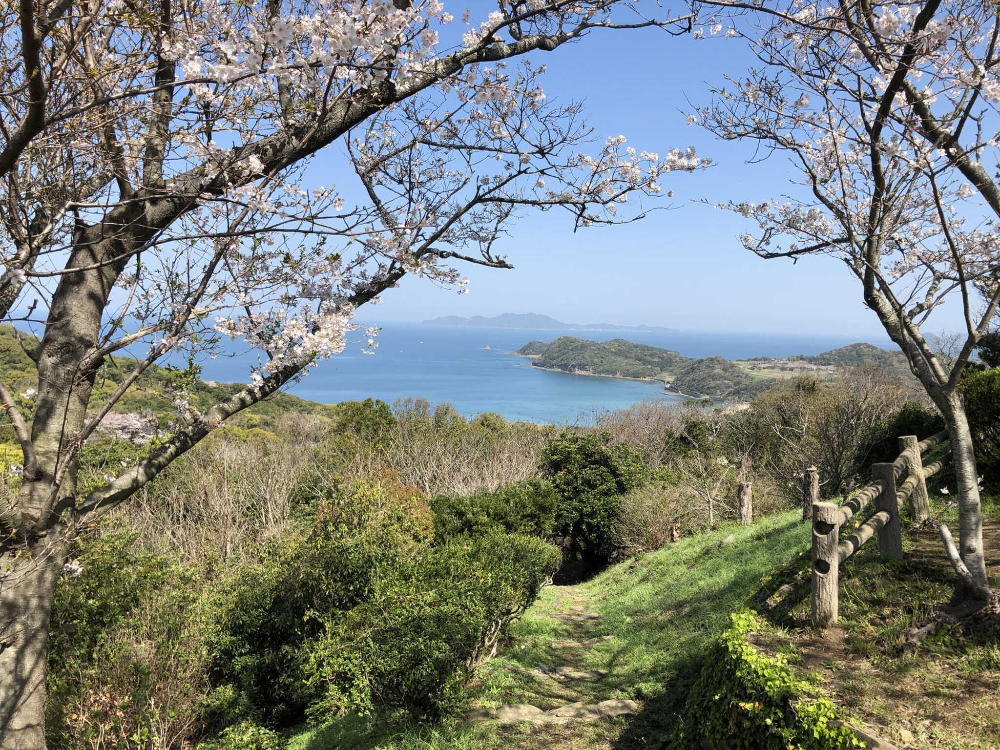 【玄界灘の絶景】春は桜、秋は紅葉が楽しめます。