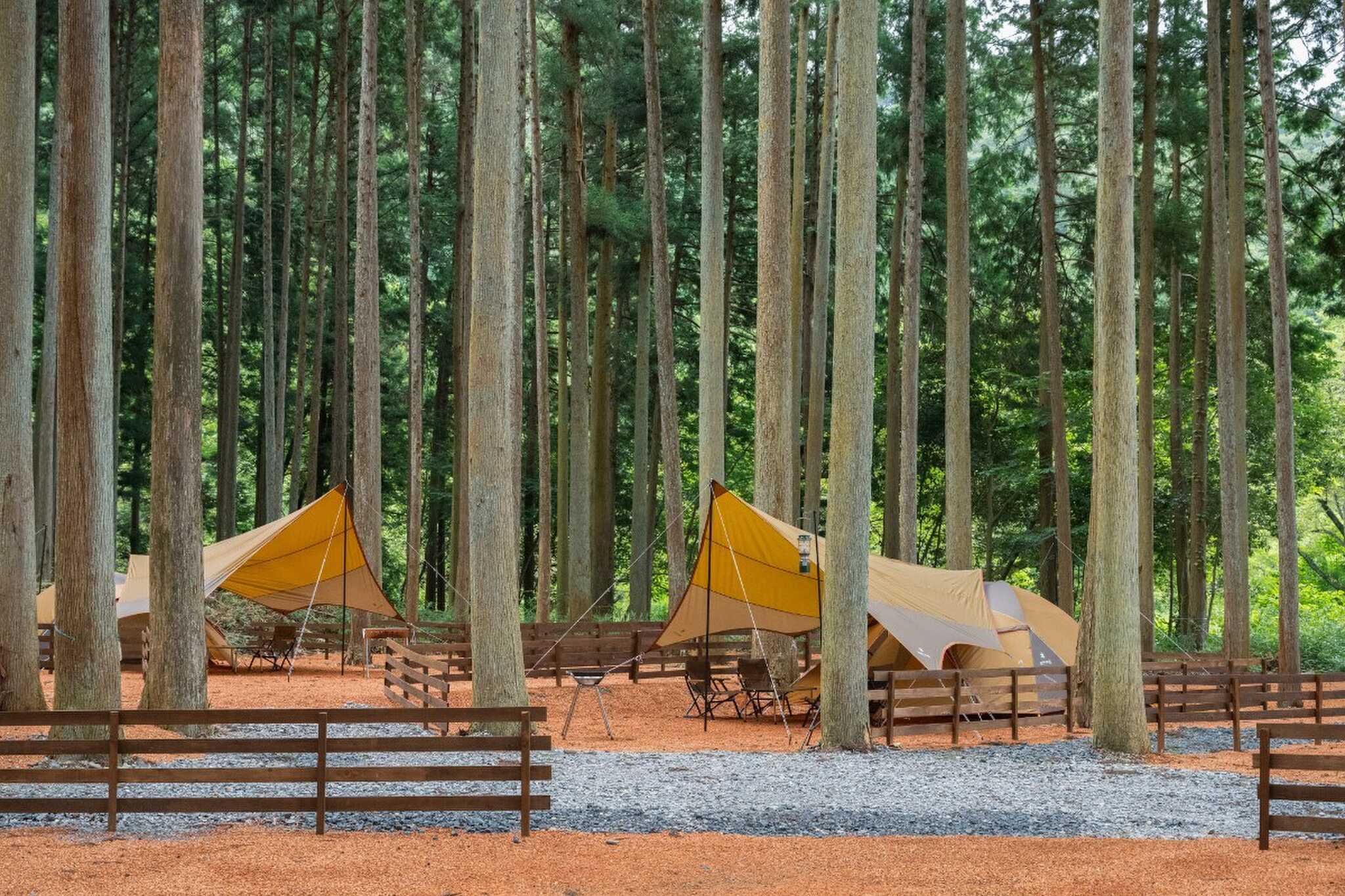 a laise camp すめらぎの森