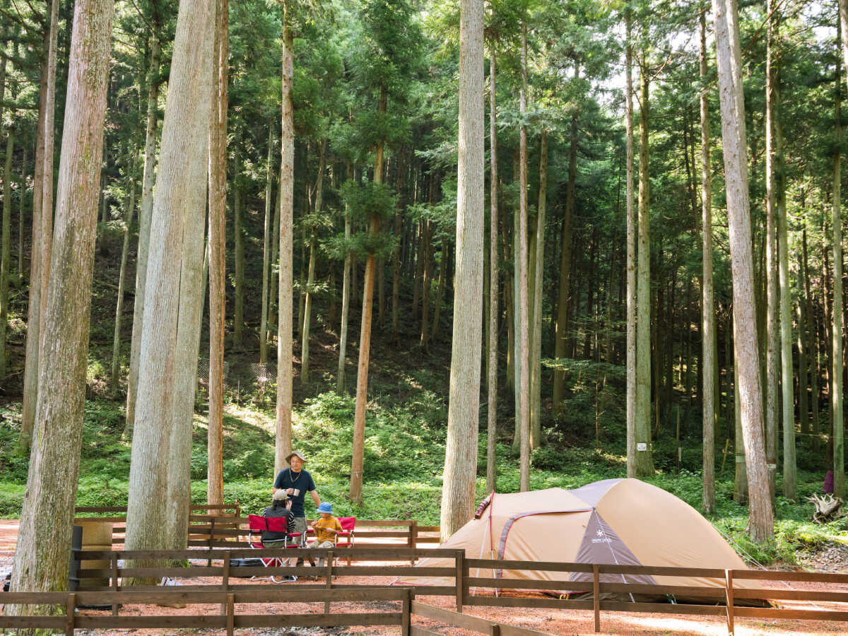 a laise camp すめらぎの森の写真 1枚目