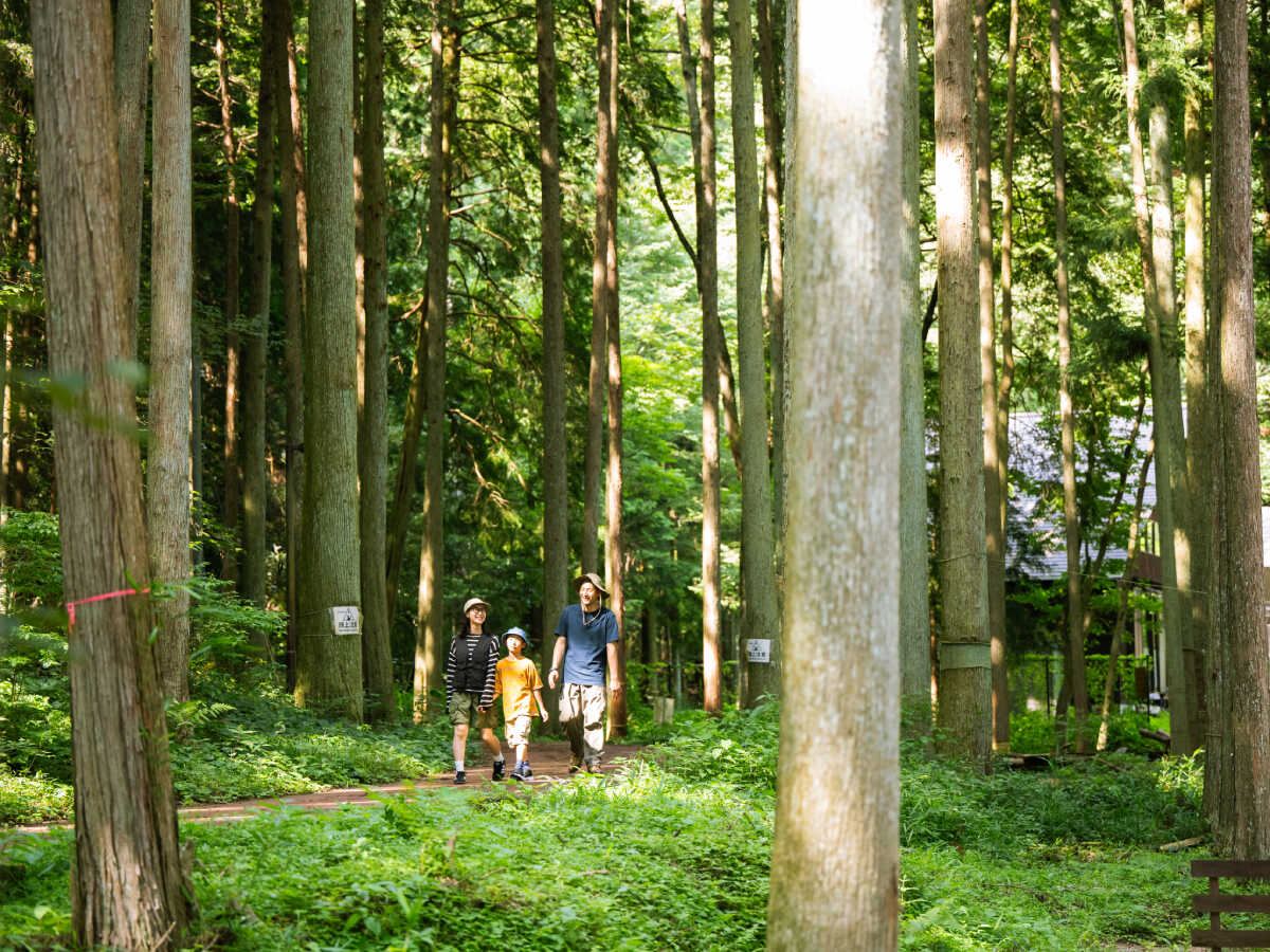 a laise camp すめらぎの森の写真 5枚目