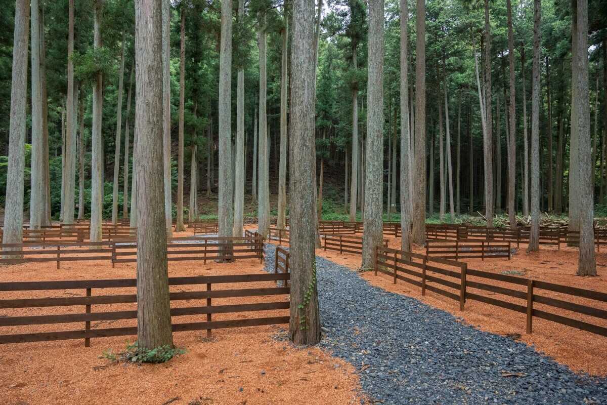 a laise camp すめらぎの森の写真 4枚目
