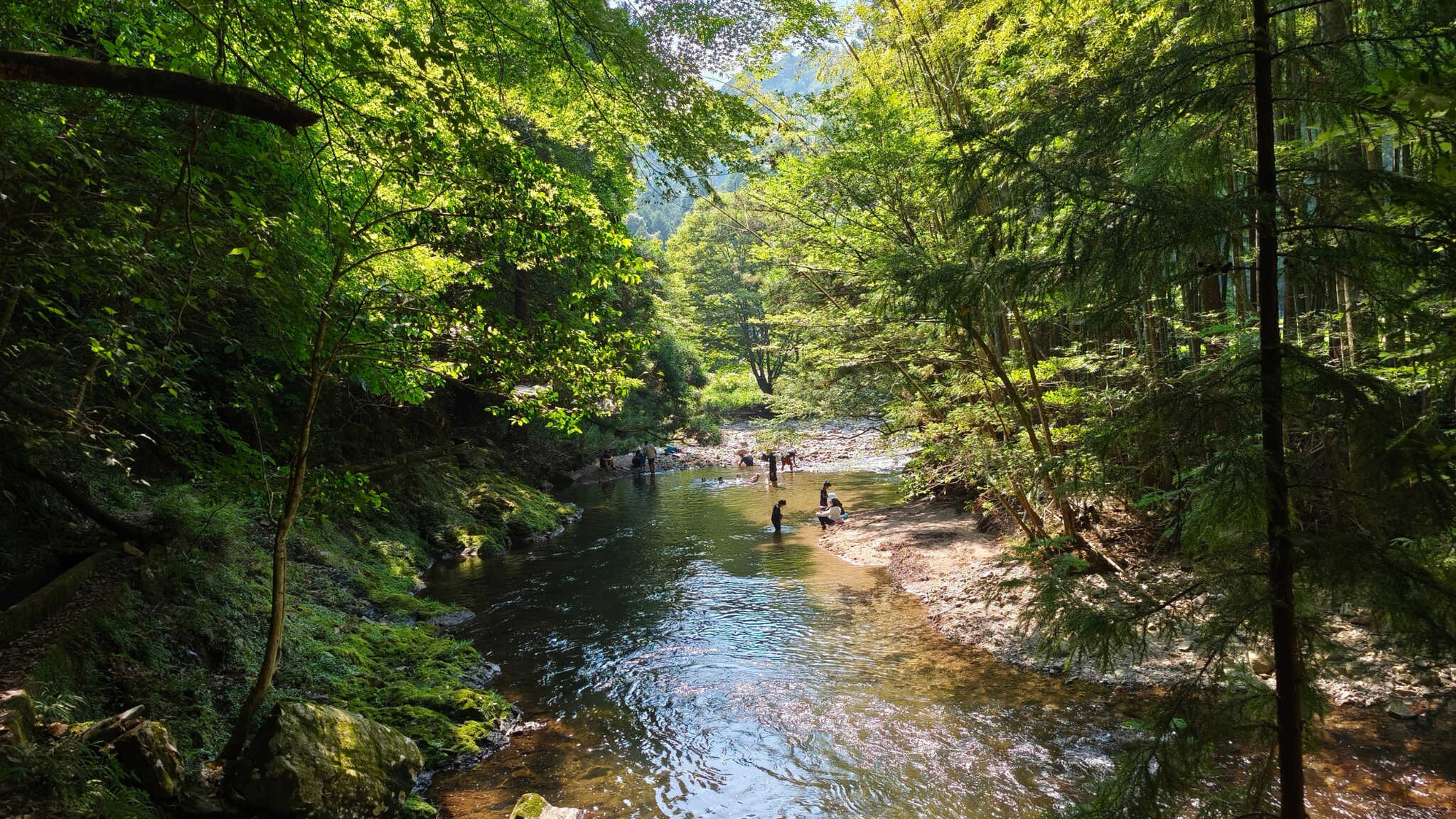 「清流で川遊び&つかみ取り体験!夏の秘密基地」