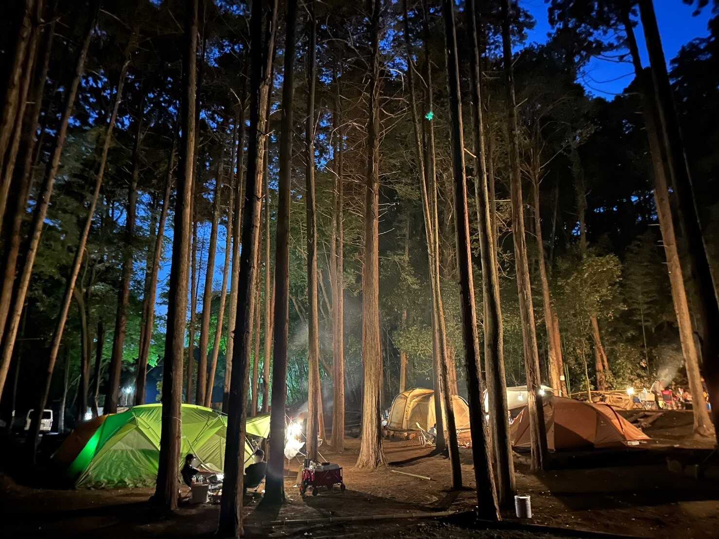 アークの森キャンプ場の写真 3枚目