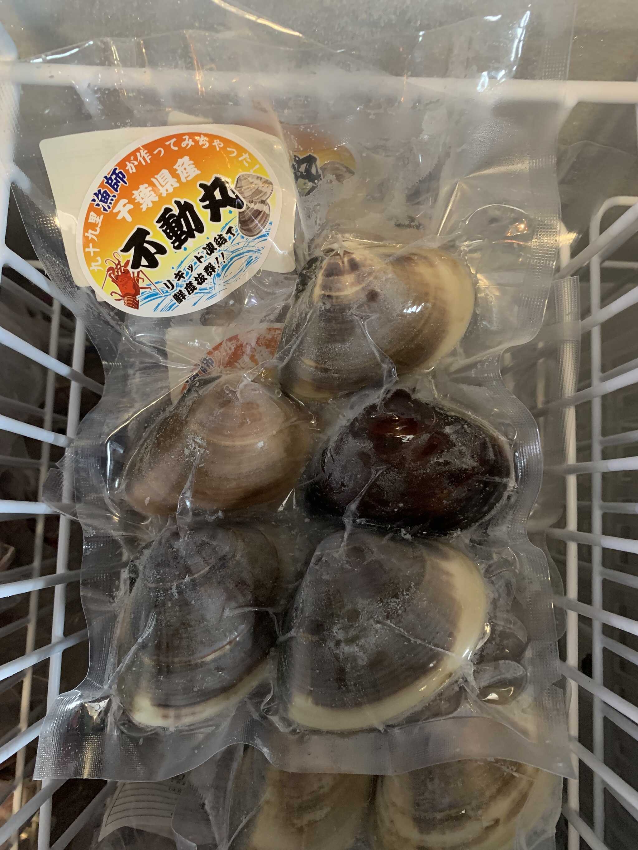 千葉県九十九里産 天然ハマグリ入荷