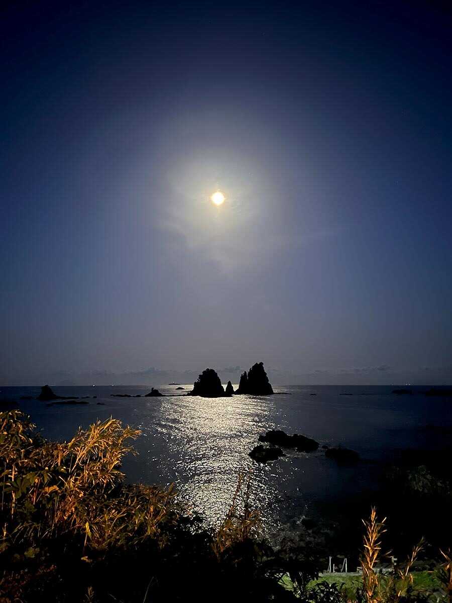 【R7/2 閉鎖】AlicaBeach南伊豆の写真 5枚目