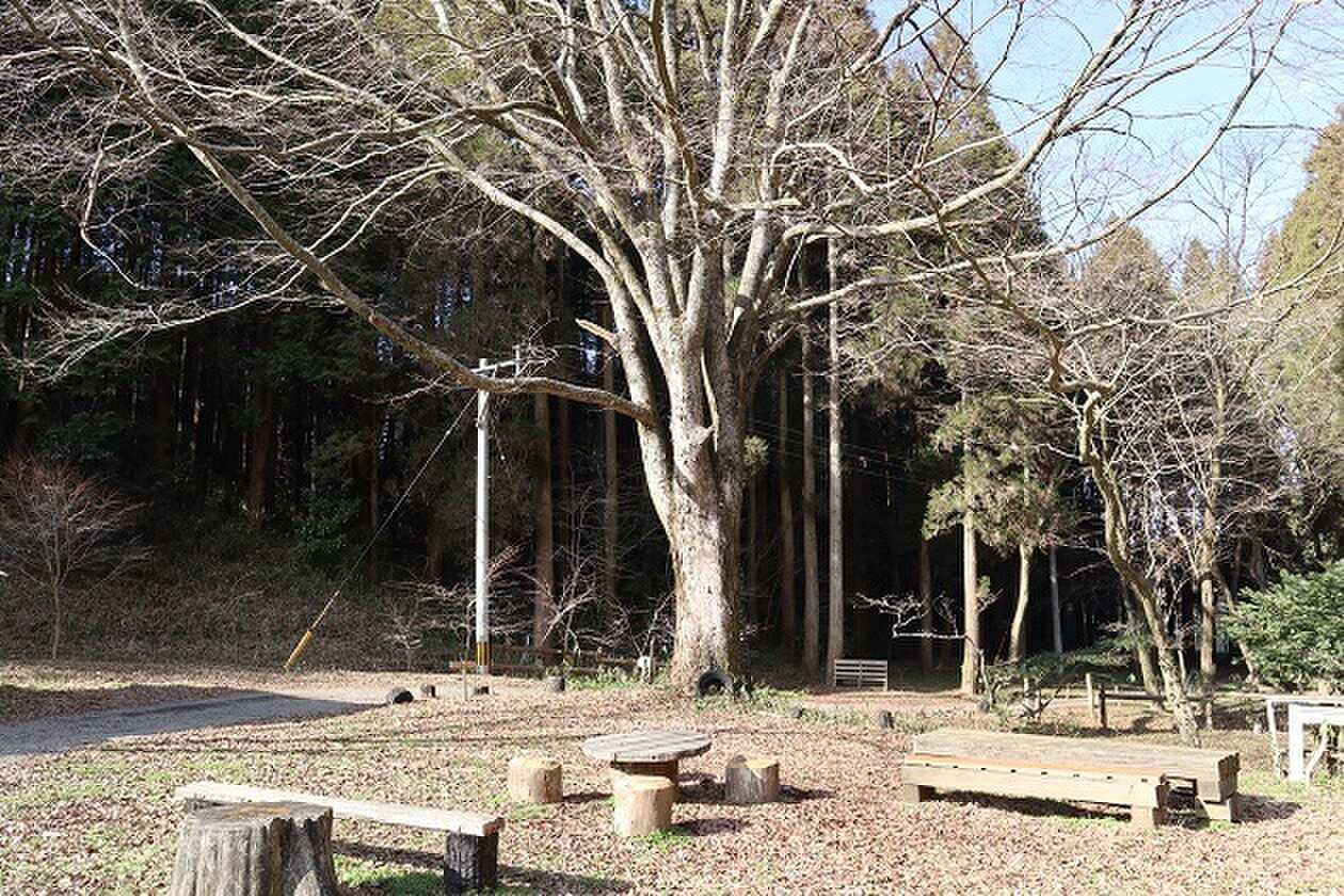 森に入ればプライベート空間が広がります♪