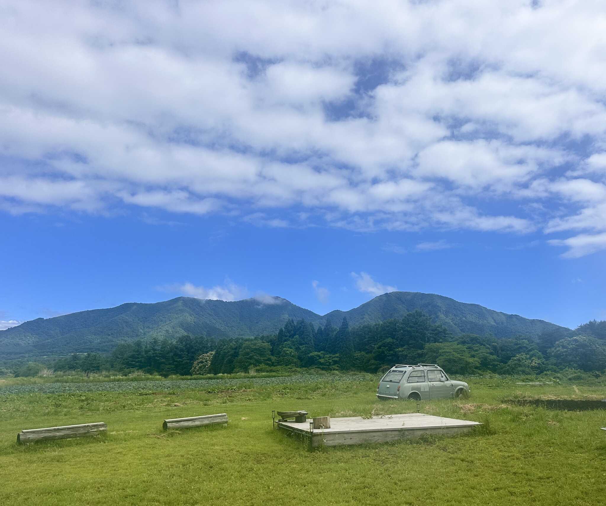 ぶりきのらいおん蒜山の写真 4枚目