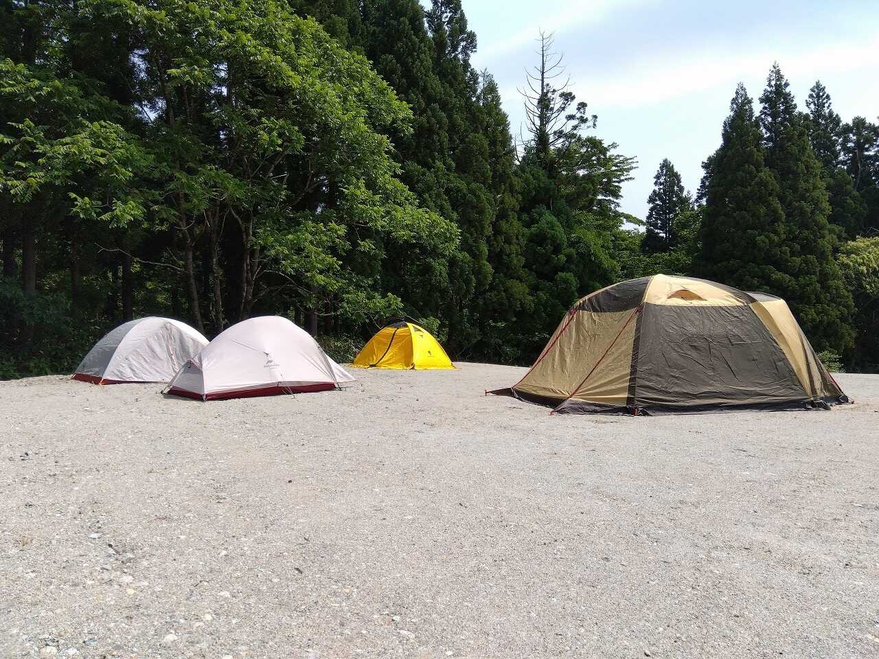 ながいピオニーの森