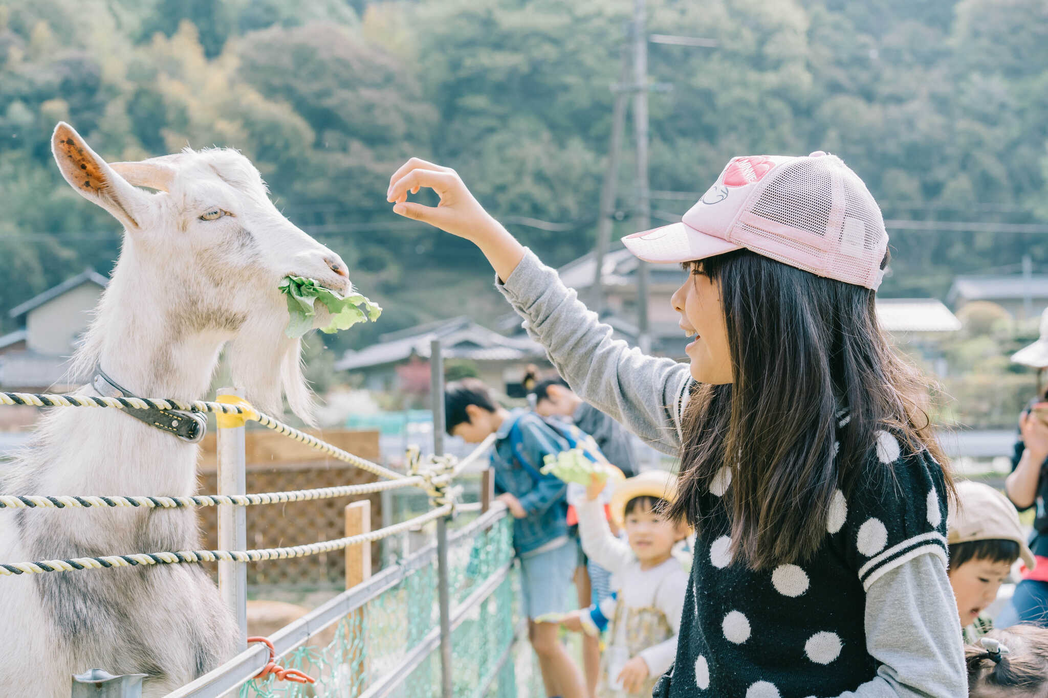 Hattori field by H2oファームの写真 5枚目