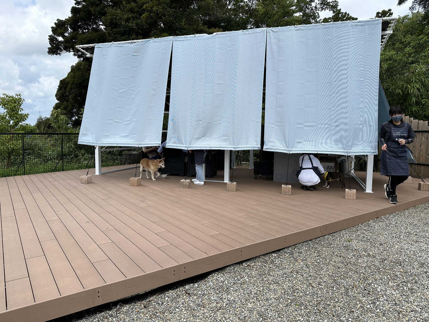 オートキャンプ場しーたけ村【ドッグフリーサイト】 photo 4