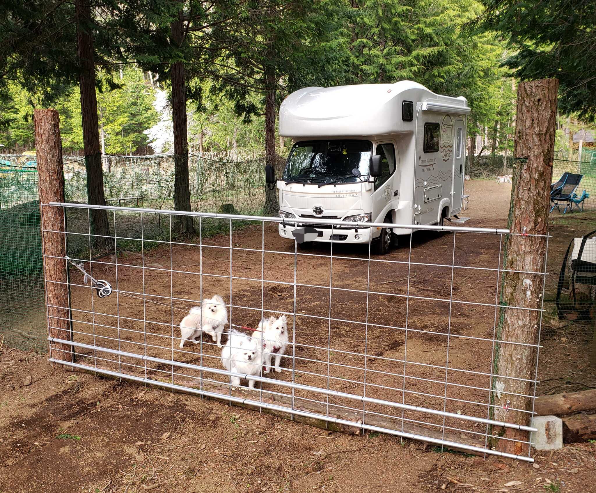 Dogs Garden WILDPARK