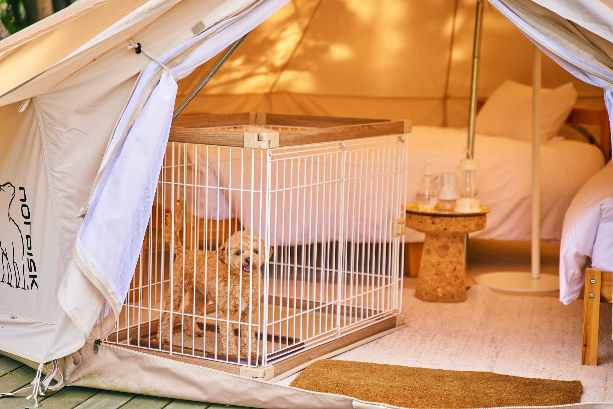 small planet CAMP&GRILLの写真 4枚目