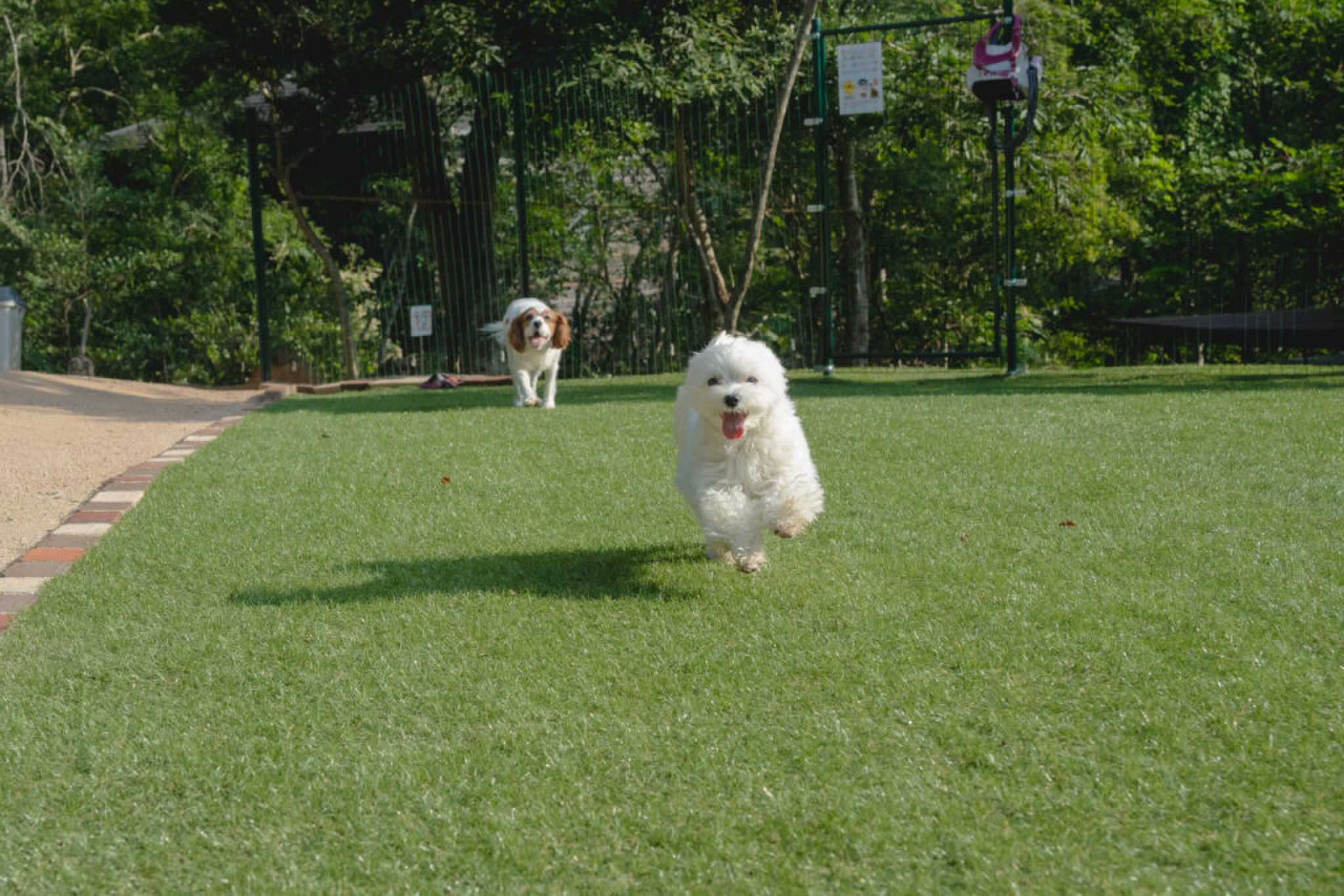 癒しの家キャンプ場
