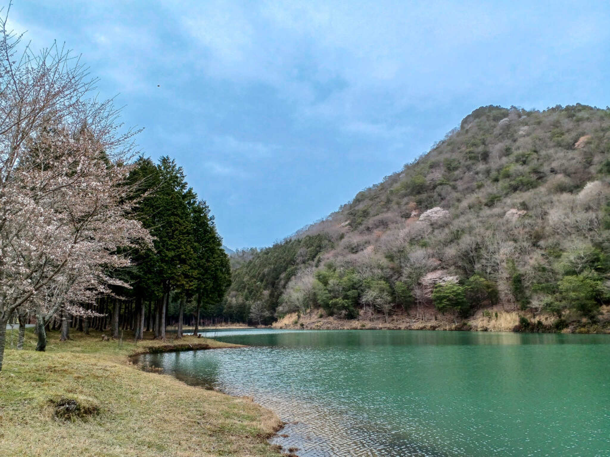 新池までも徒歩圏内!自然を間近に感じられます♪
