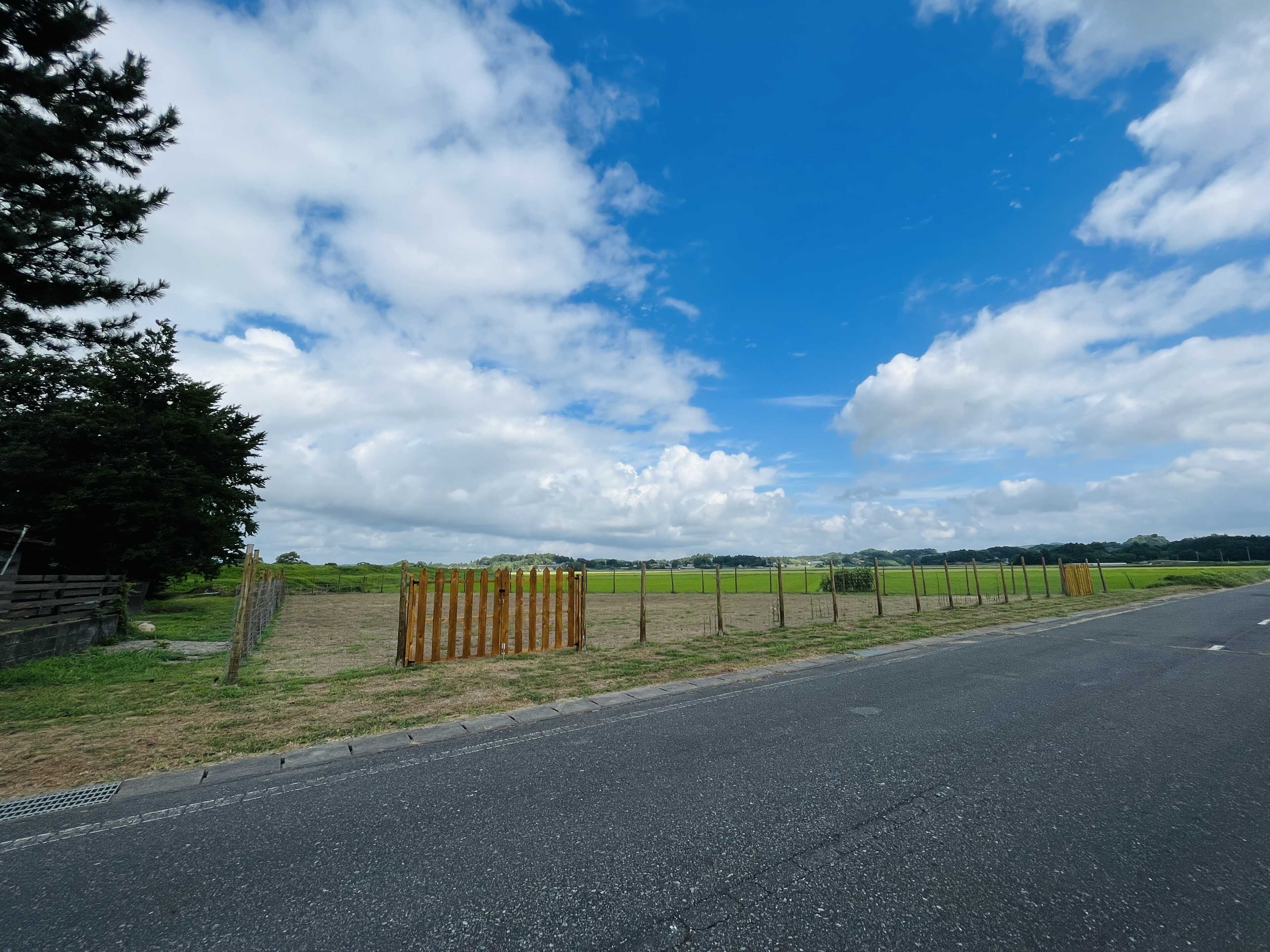 KIKORI campsite