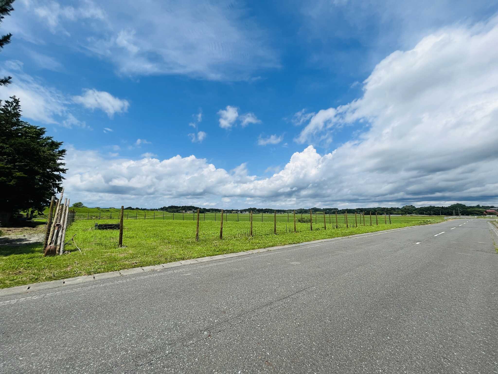 広々としたテントサイトと開けた眺望で開放感抜群です!目の前と道路はほとんど車が通らないので自由に使えます♪