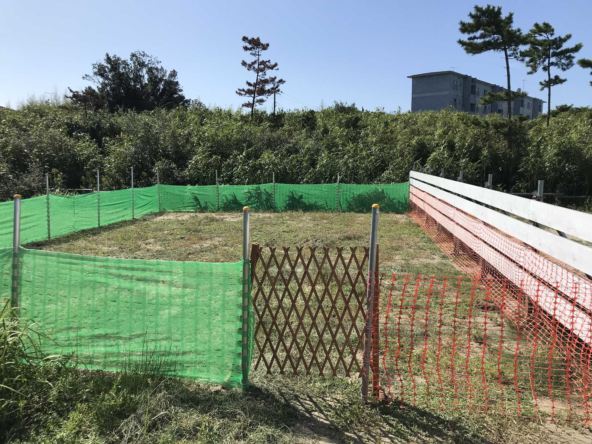 平井海岸前キャンプ場の写真 5枚目