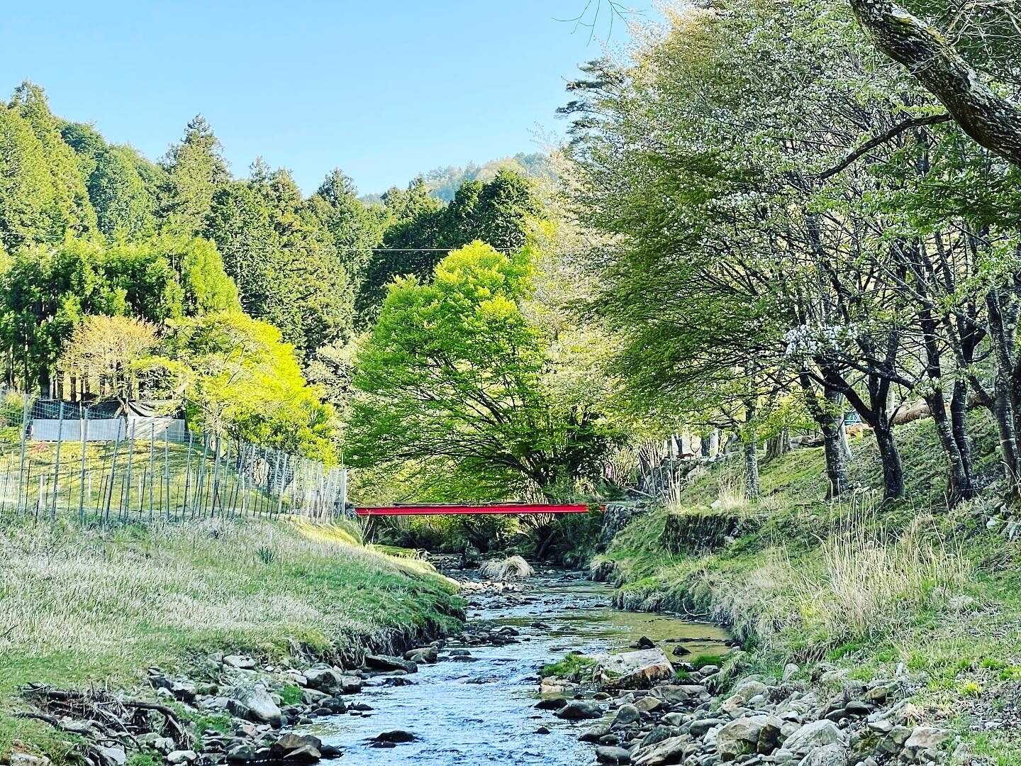 ゾレンキャンプ場の写真 2枚目
