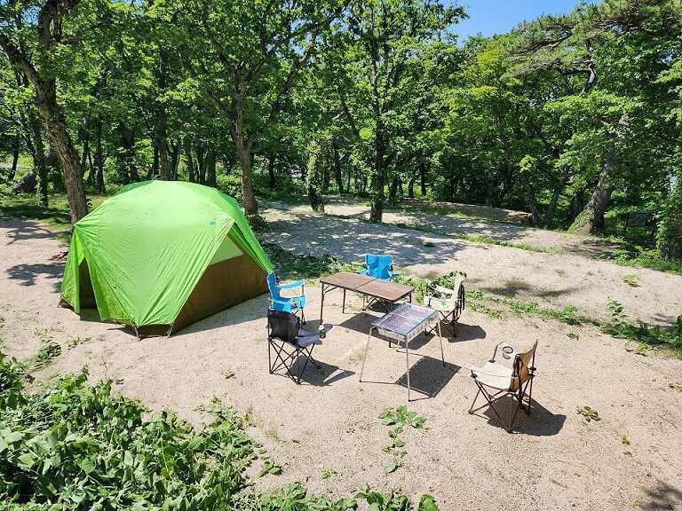 CAMPFIELD GOENの写真 3枚目