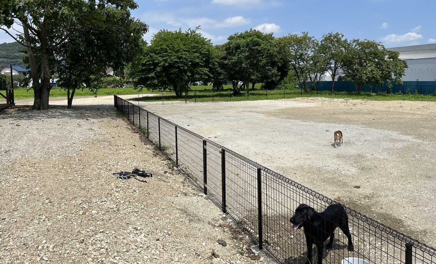 ドッグ&キャンプ鹿沼の写真 2枚目