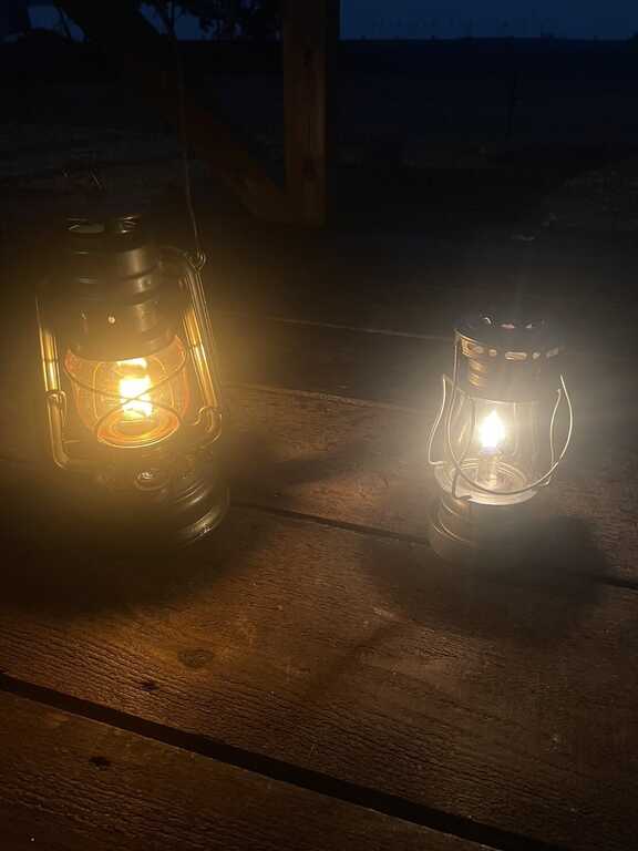 ドッグ&キャンプ鹿沼 photo 3