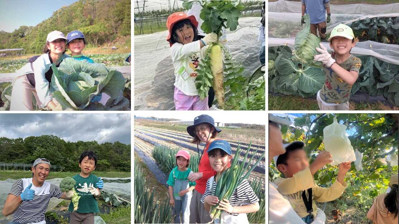 イオン三木里脇もぎたてキャンプ場の写真 5枚目