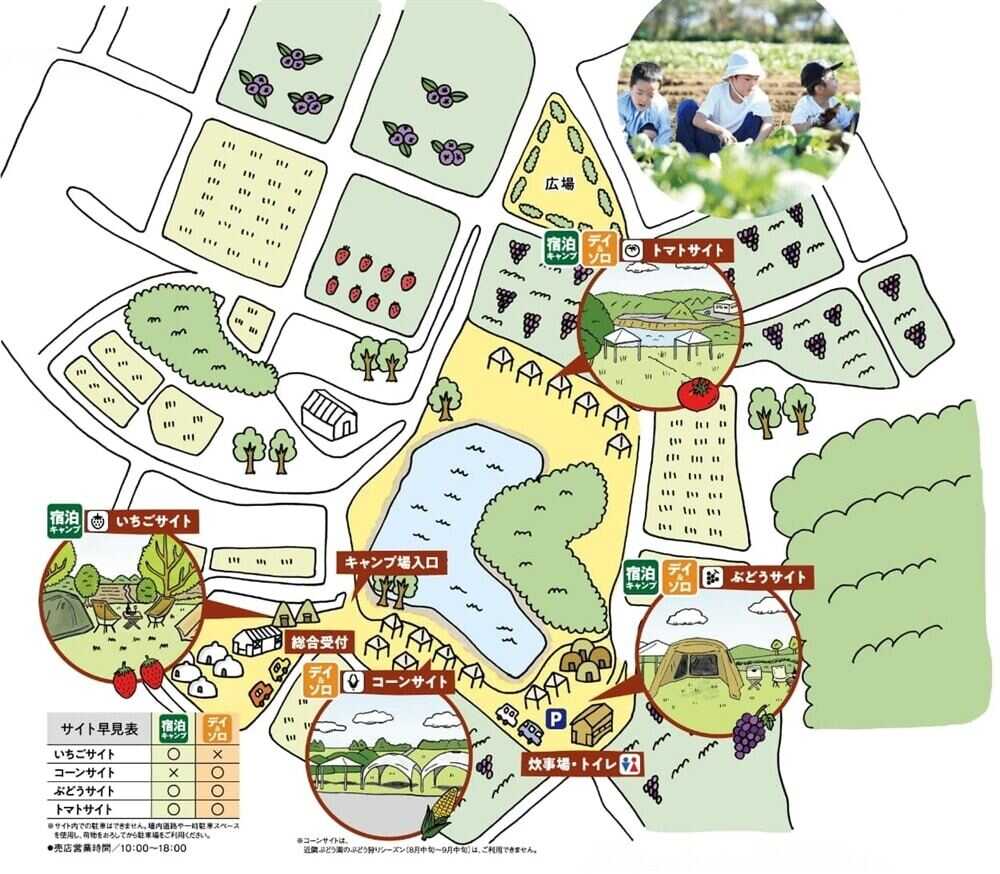 キャンプ場全体MAP