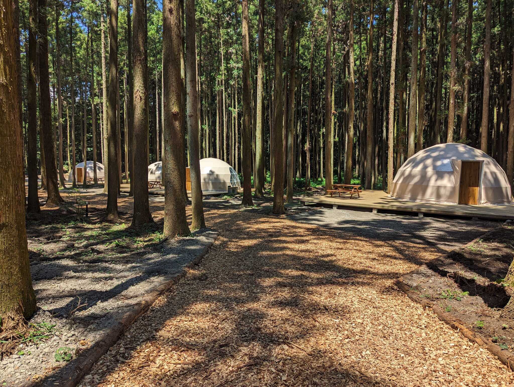 赤城 ときわぎの森キャンプ場