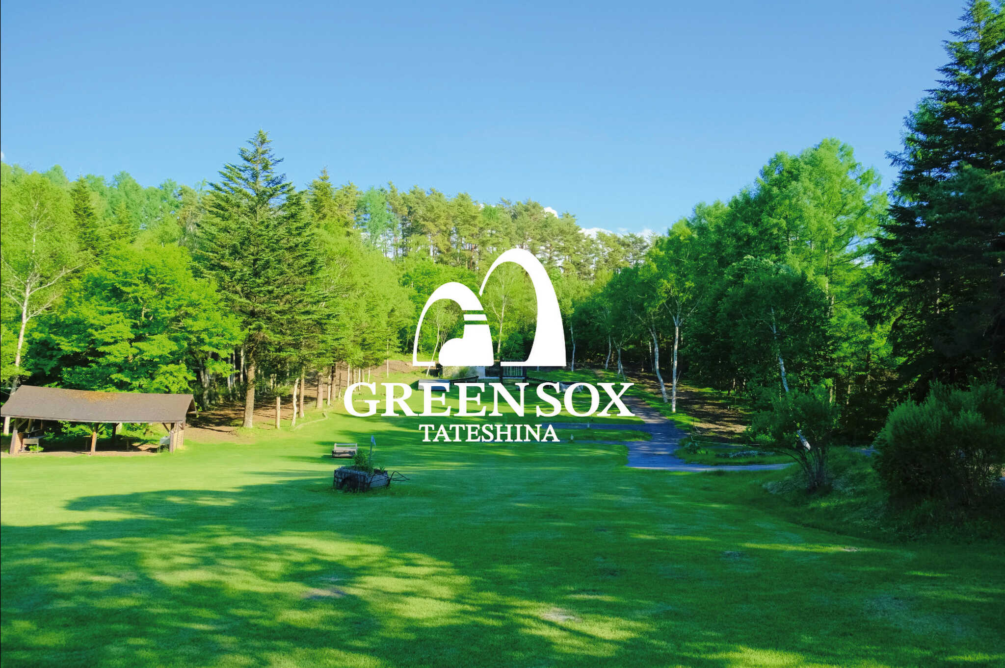 GREEN SOX TATESHINA