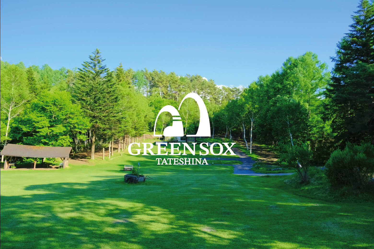 GREEN SOX TATESHINA