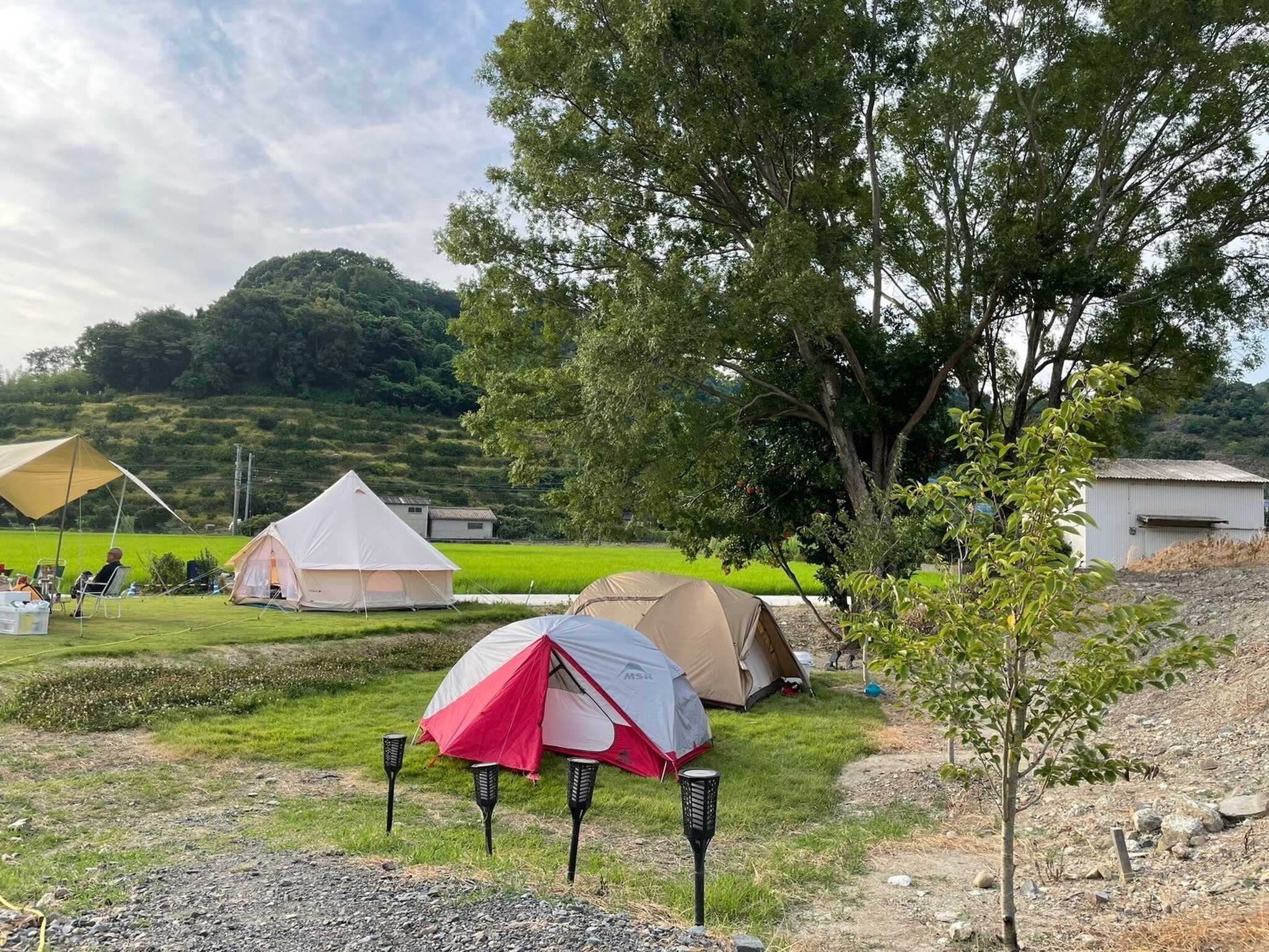 BASE CAMP CLOVER