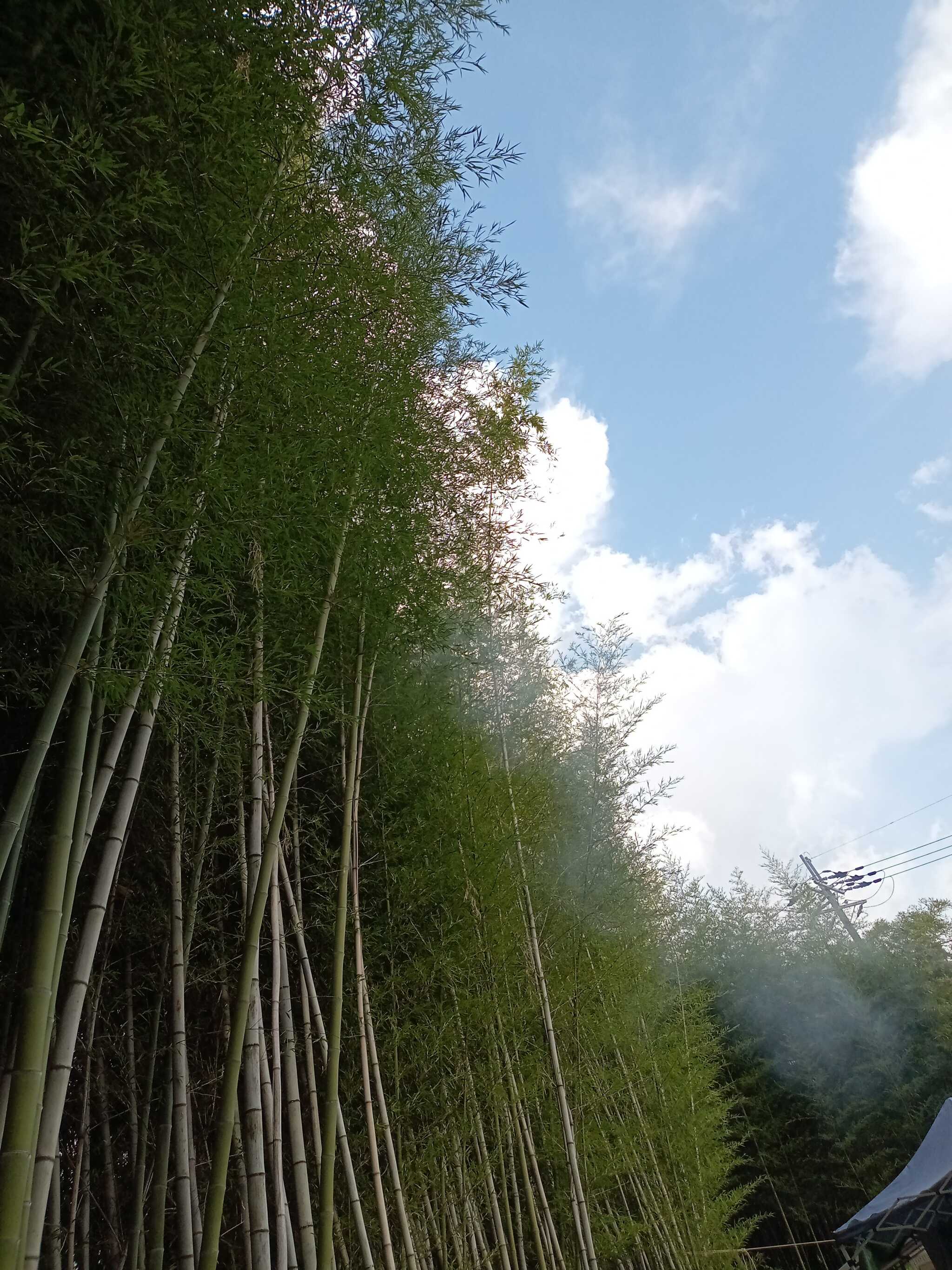 ベースキャンプかわち夢楽