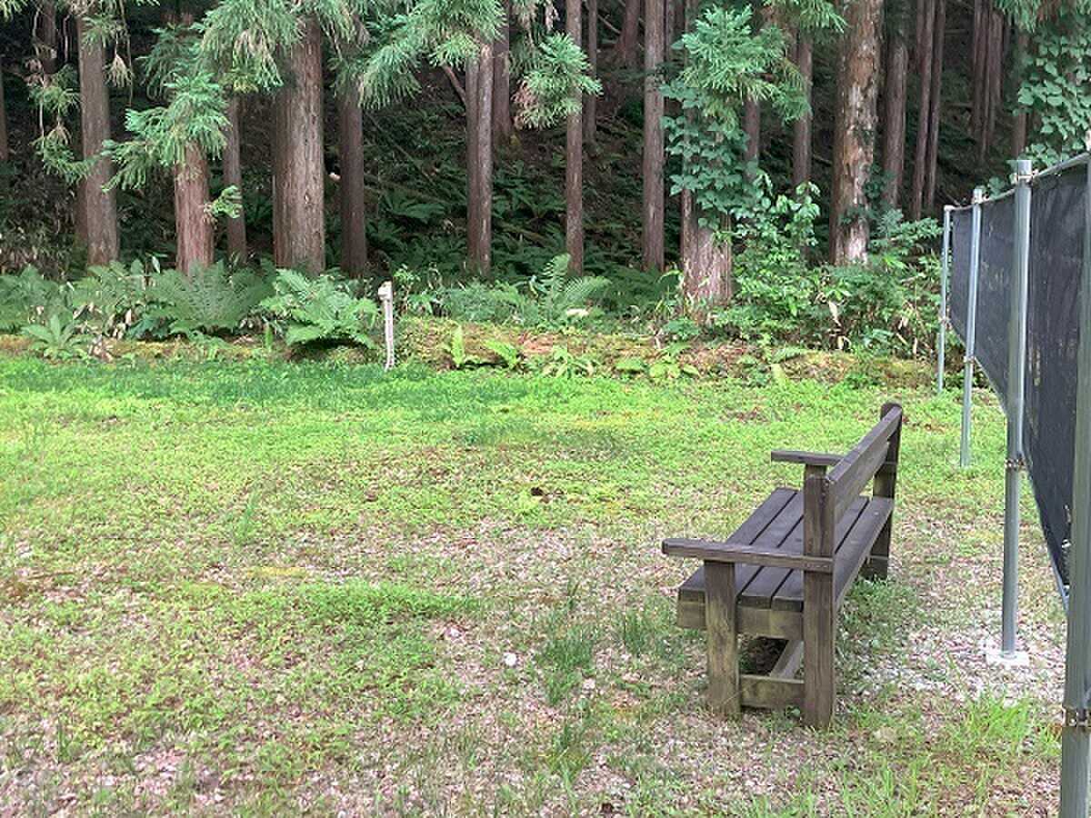 まぜ川上健康農園の写真 3枚目