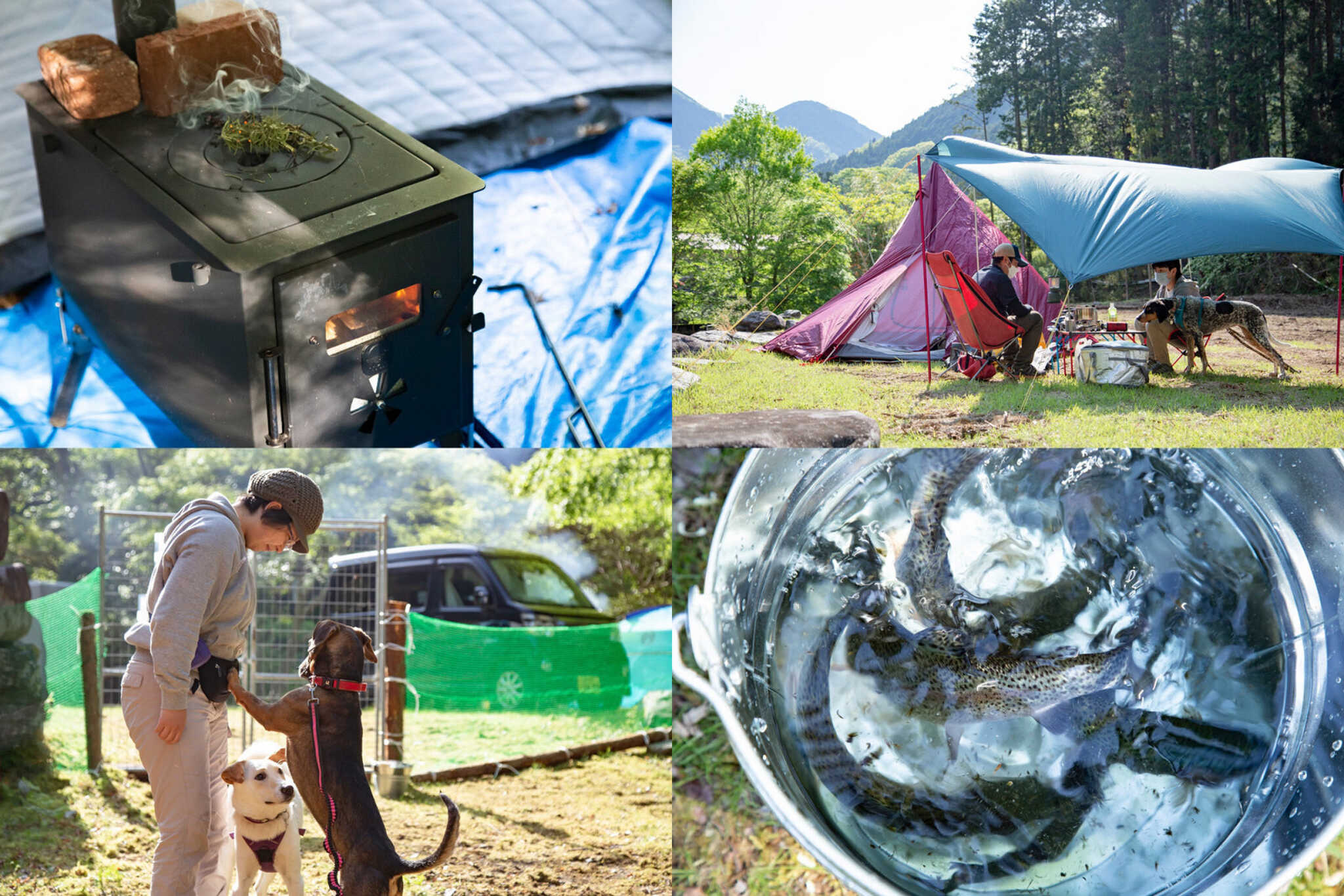 【R7/4 閉鎖】湯の沢CanCamp村の写真 4枚目