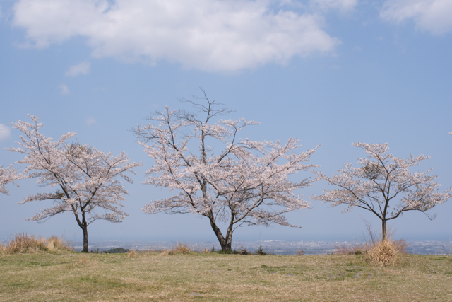 野営箭山