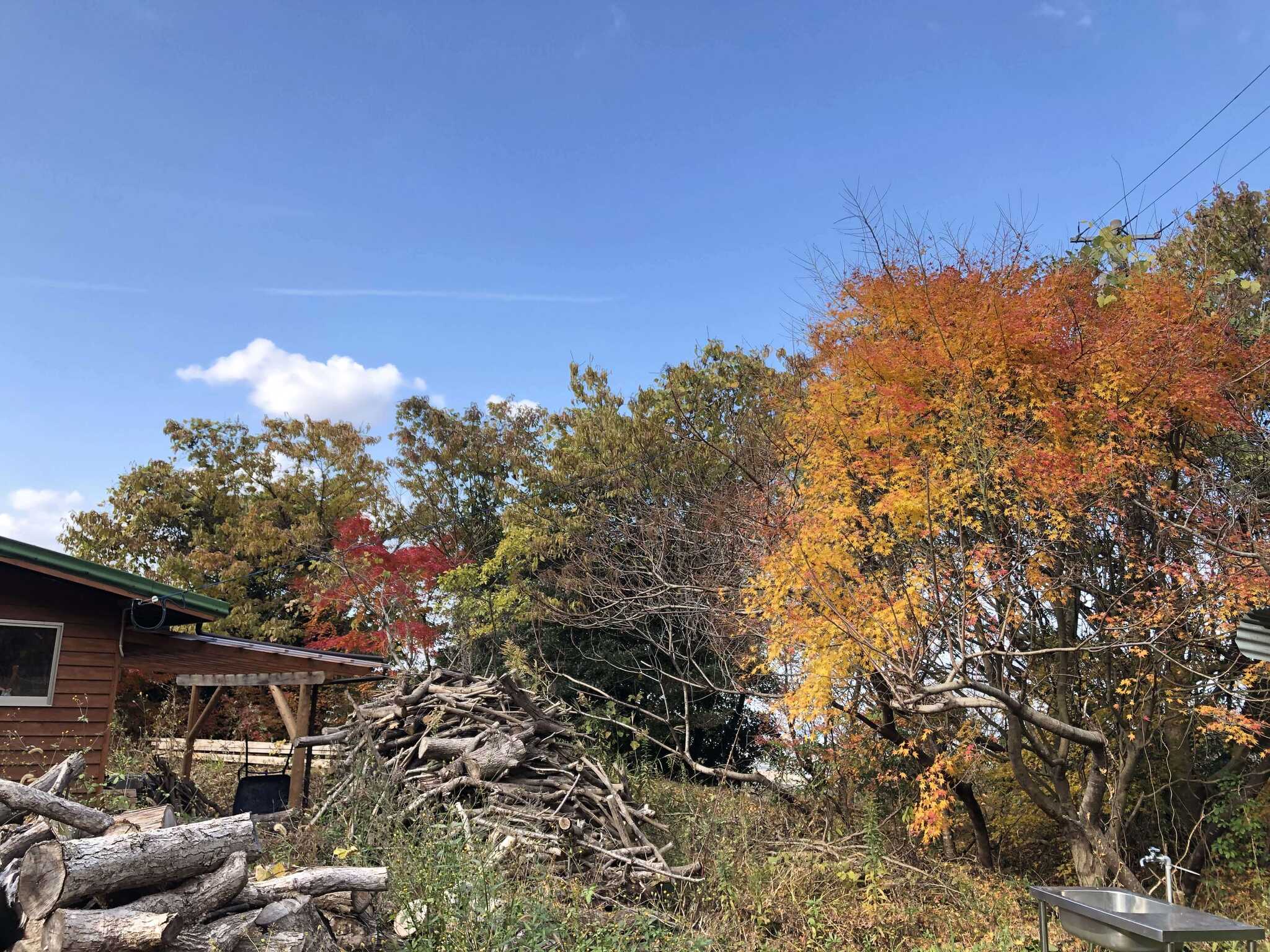 野営箭山の写真 5枚目
