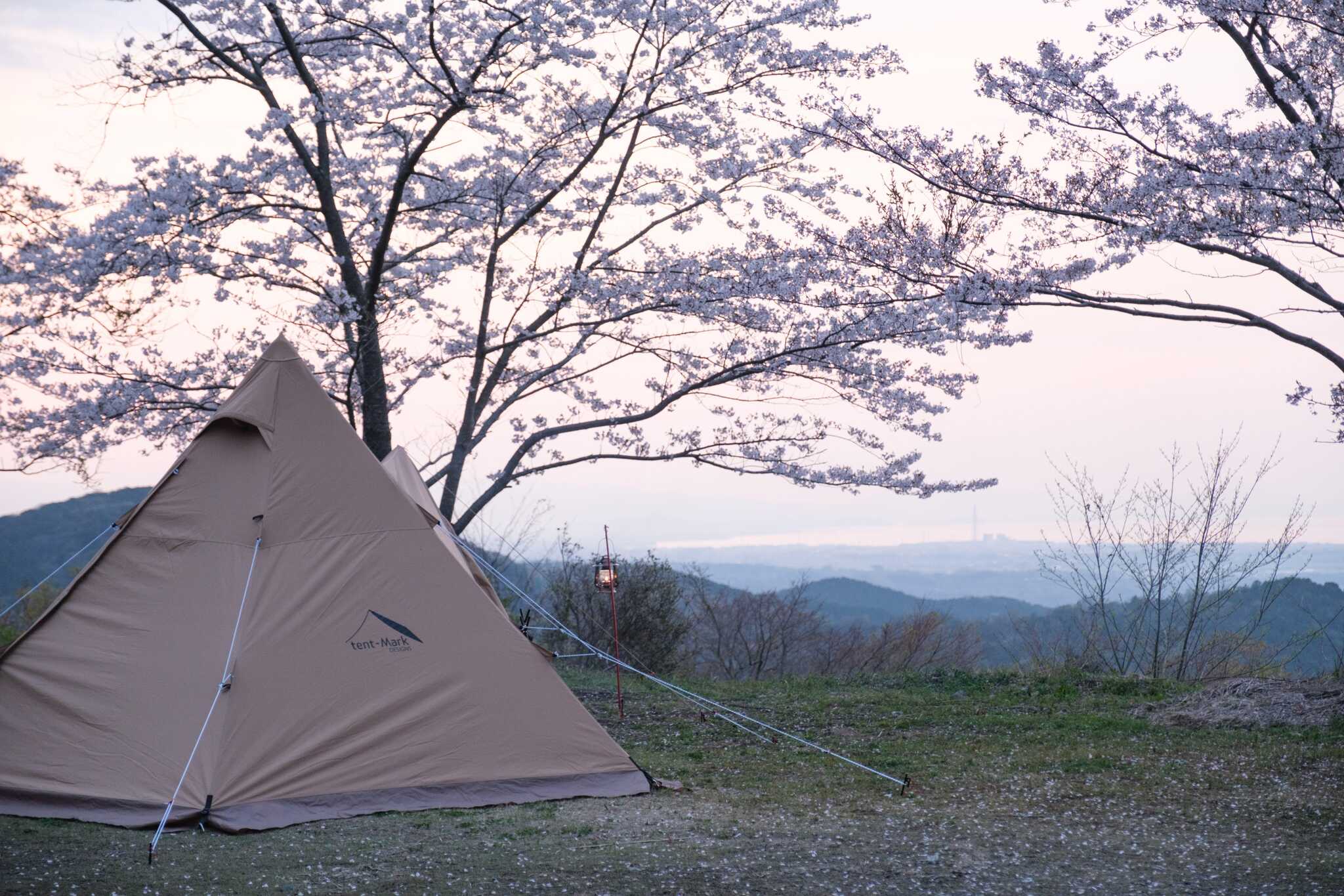 春は満開の桜を見ながらキャンプが楽しめます